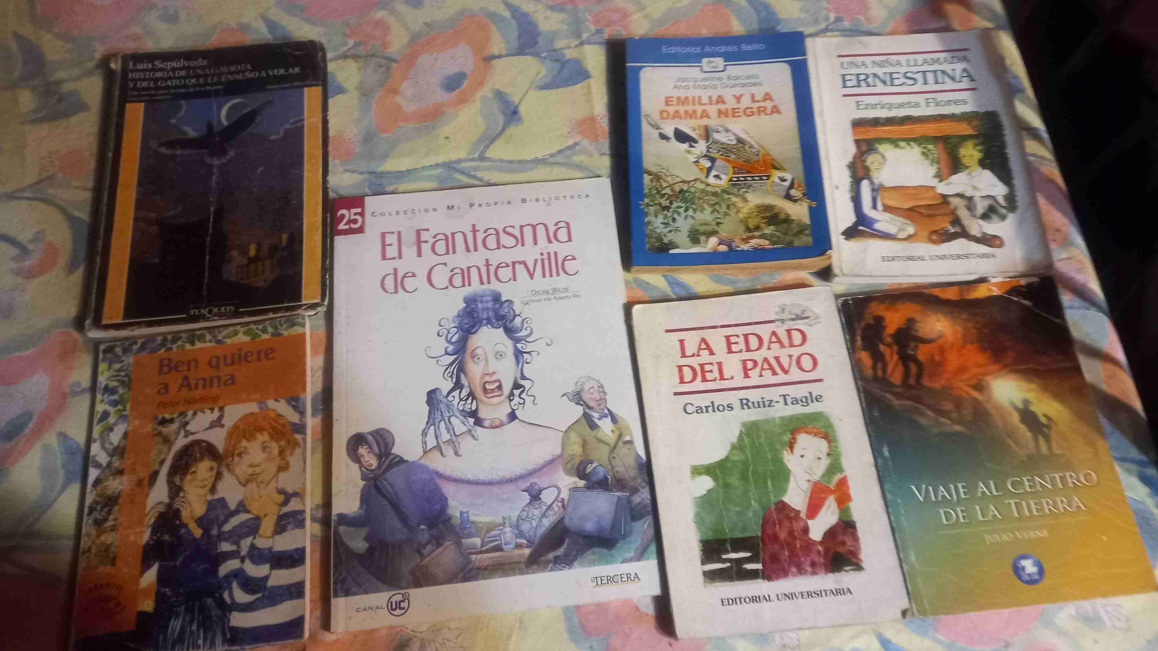 Lote de libros variados