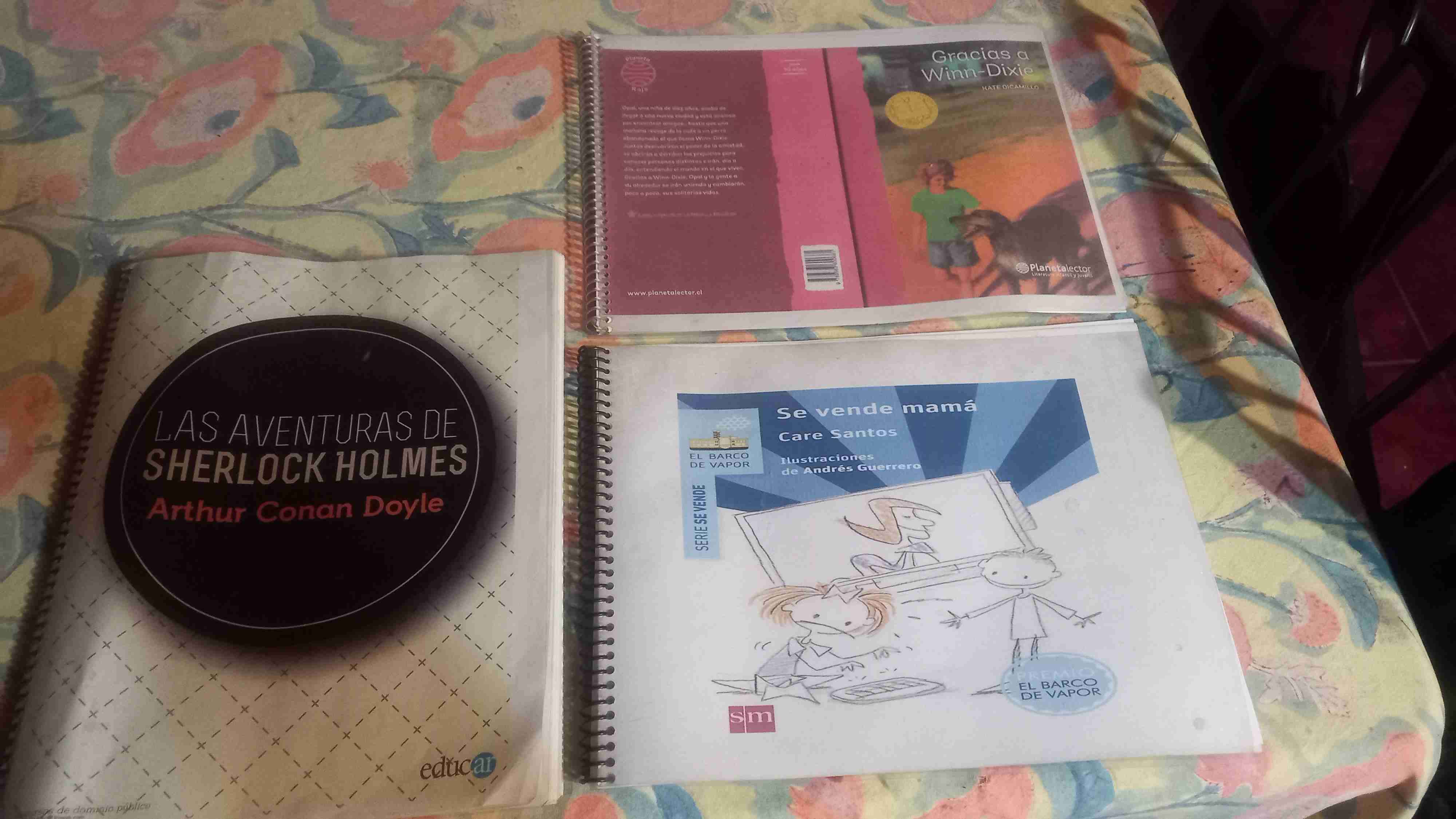 Lote de libros variados - miniatura 2