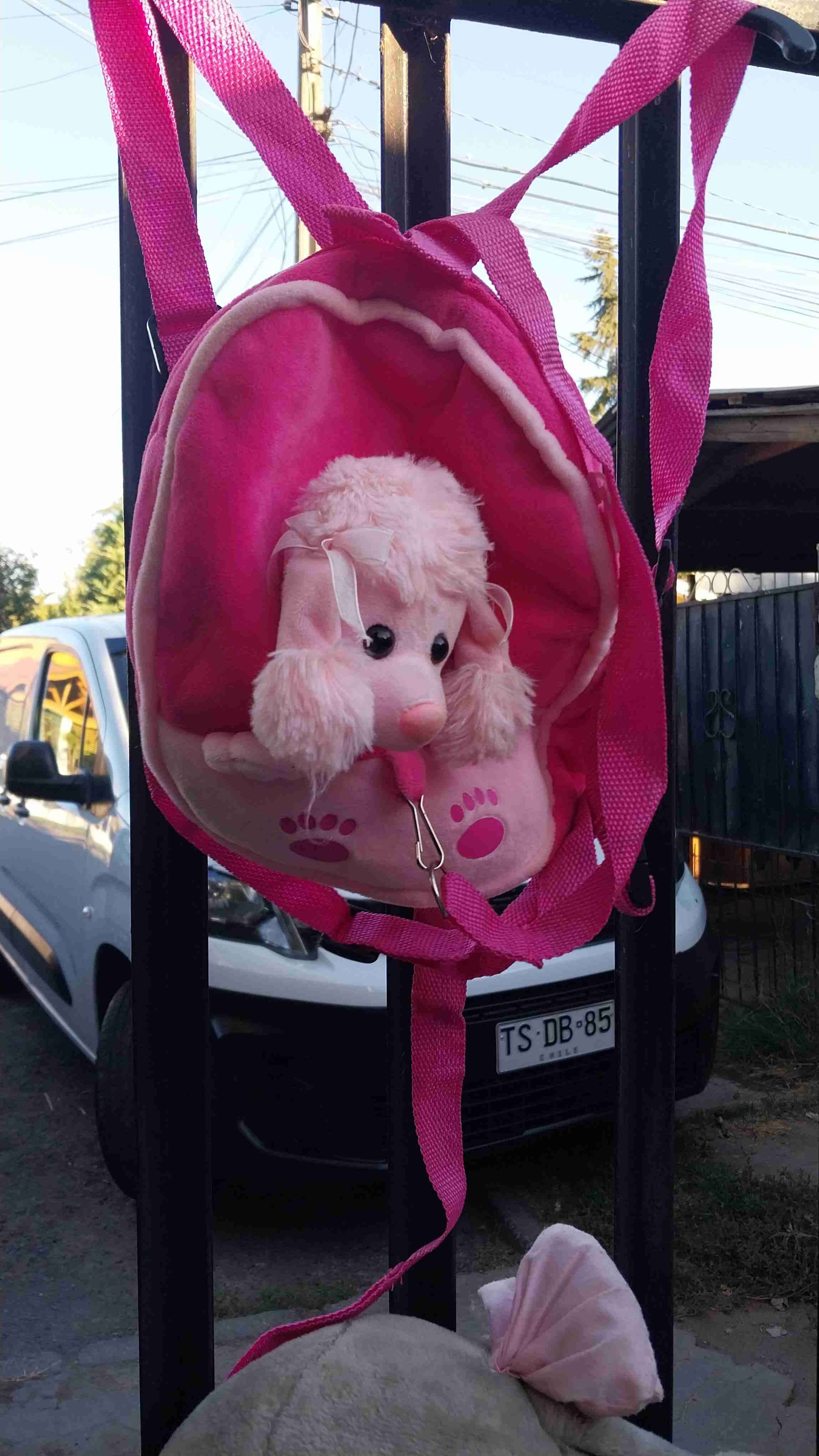 Zapatos de colegio Hush Puppies negros - miniatura 2