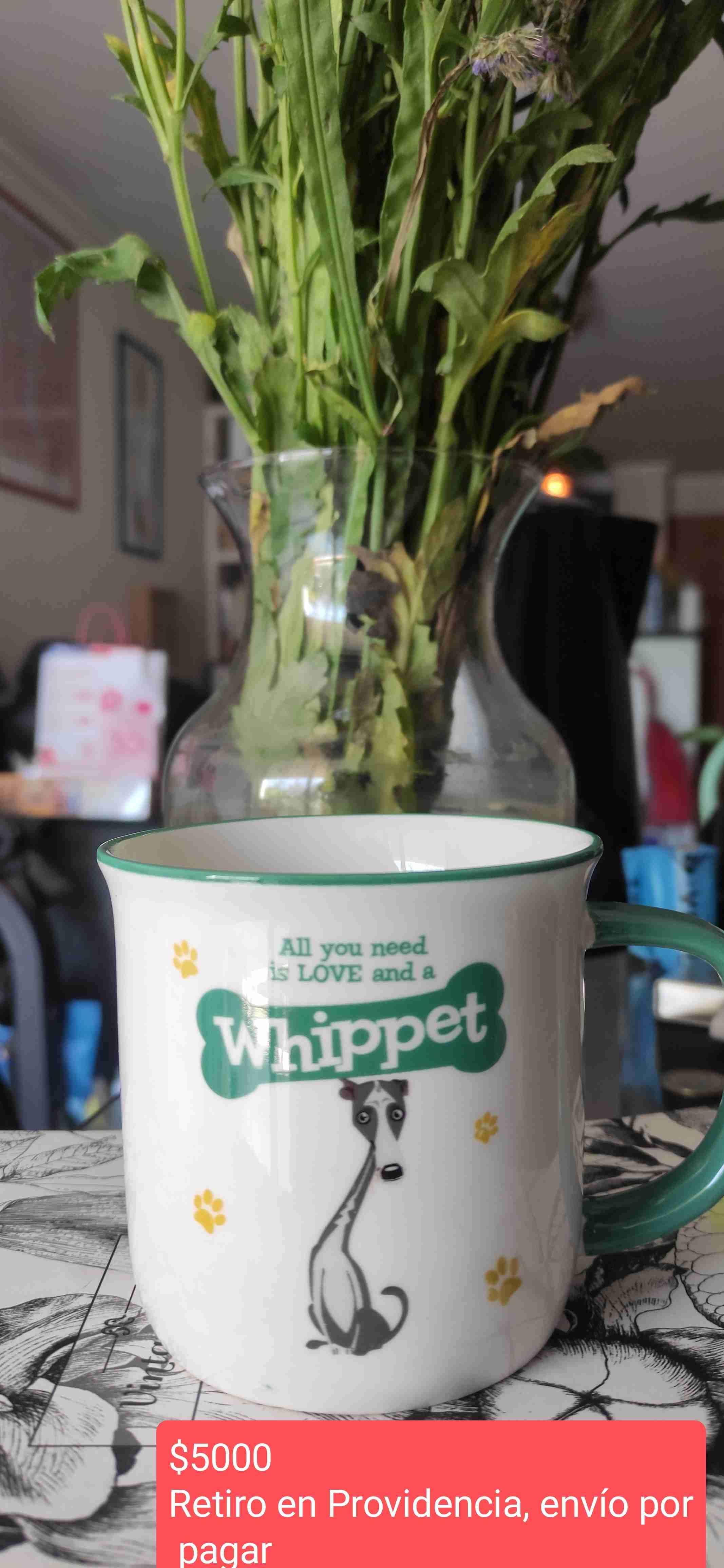 Tazón blanco Whippet