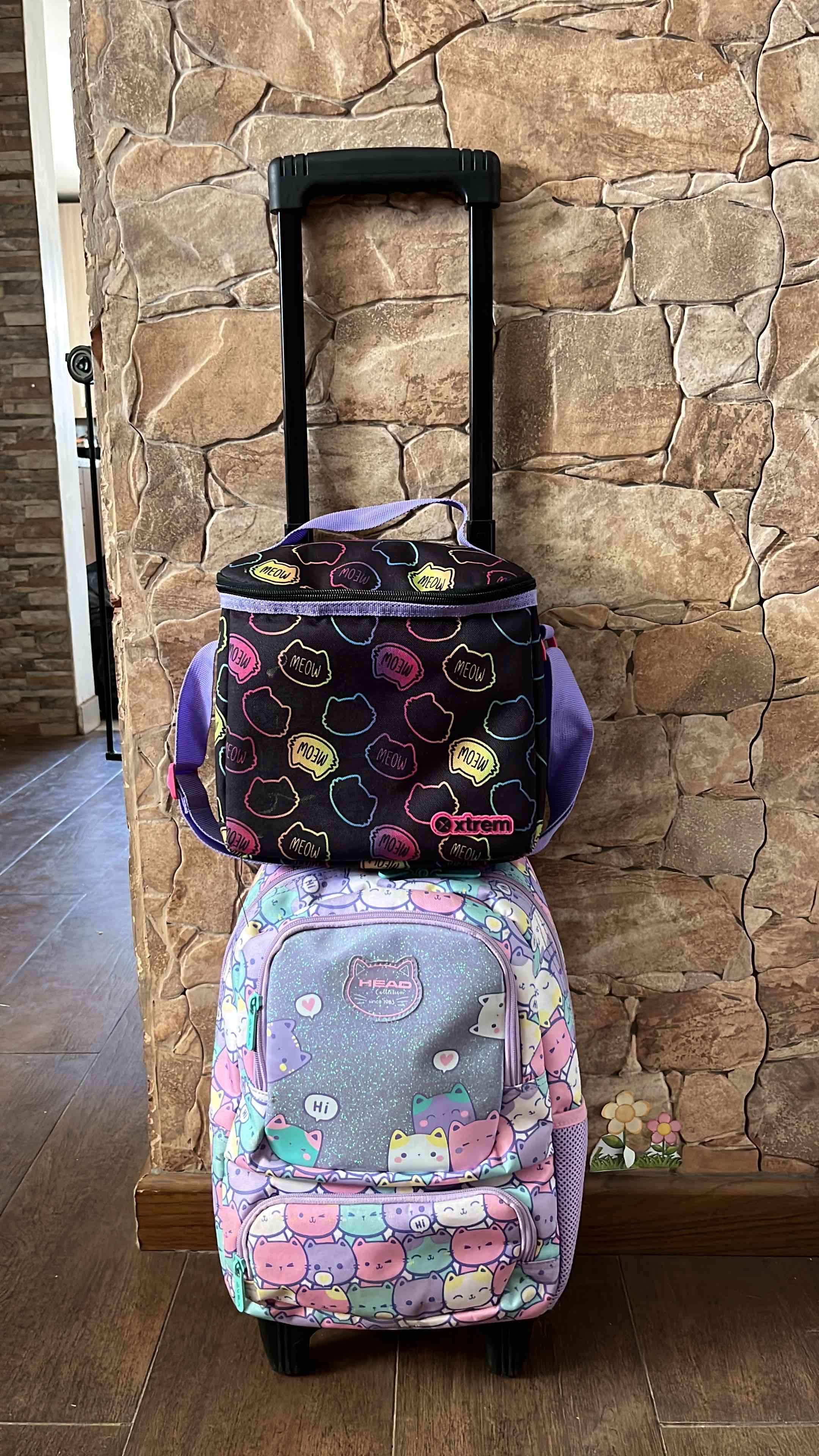 Mochila con ruedas Head