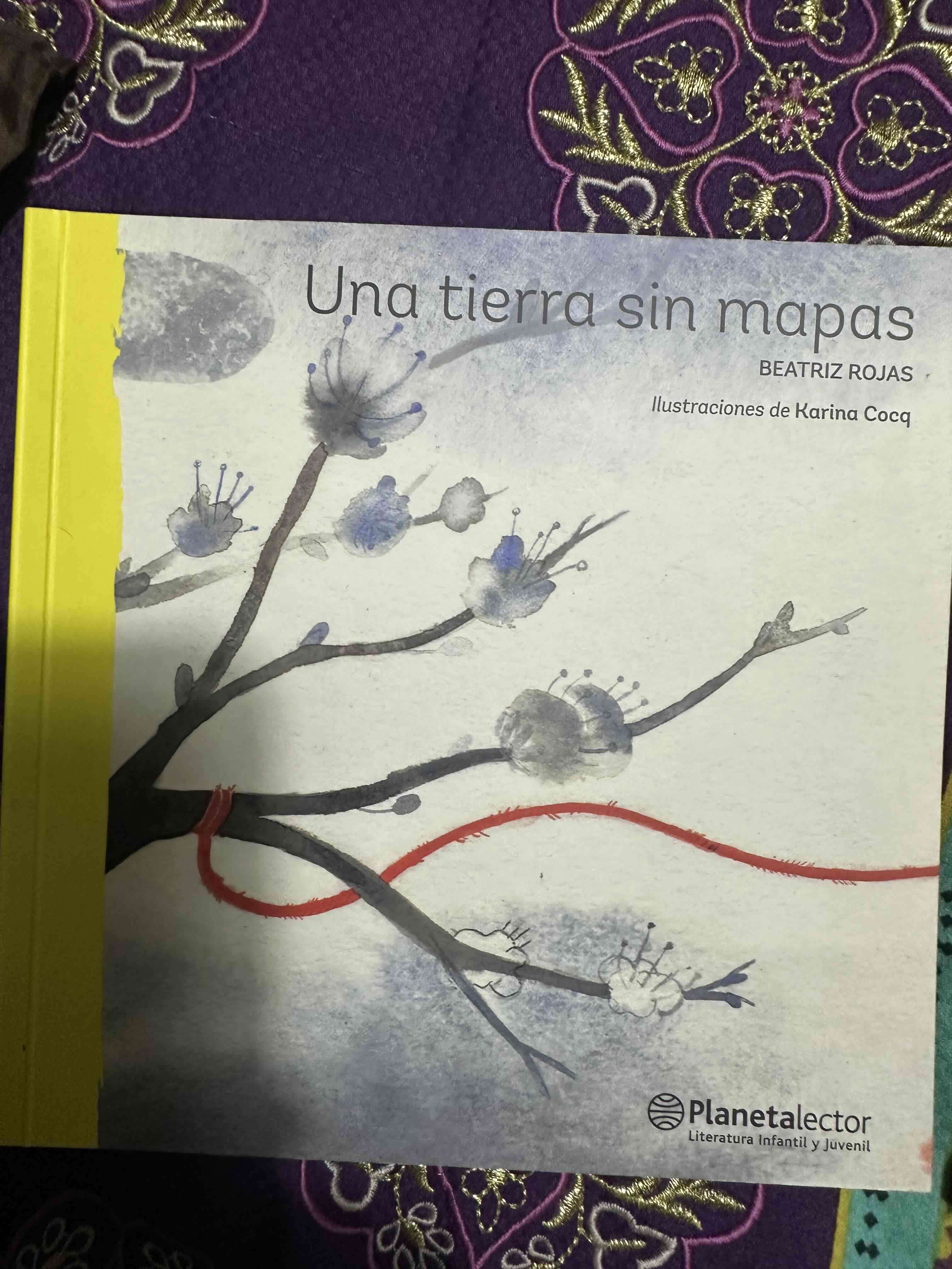 Libro 'Una tierra sin mapas' infantil