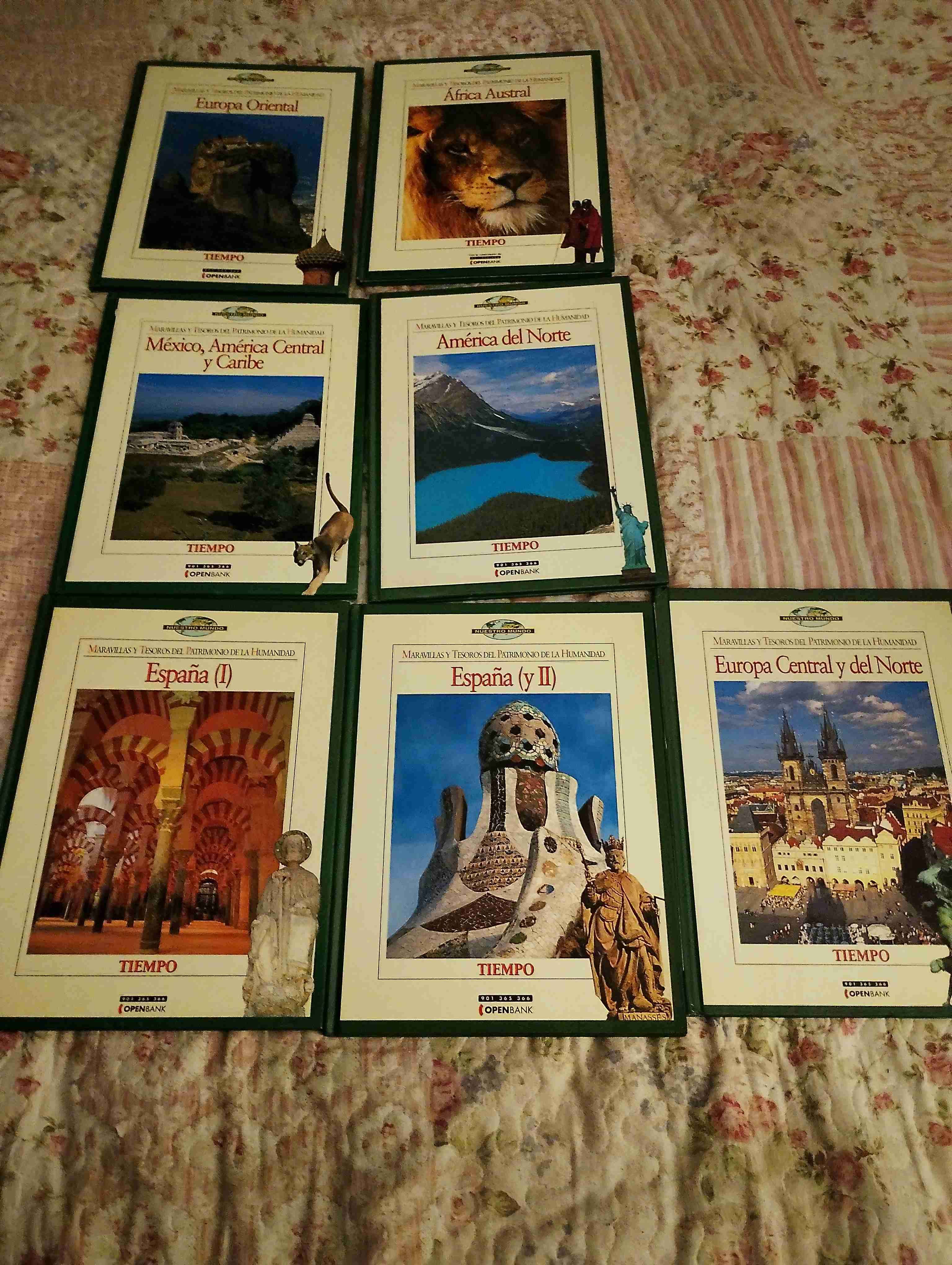 Colección libros patrimonio de la humanidad
