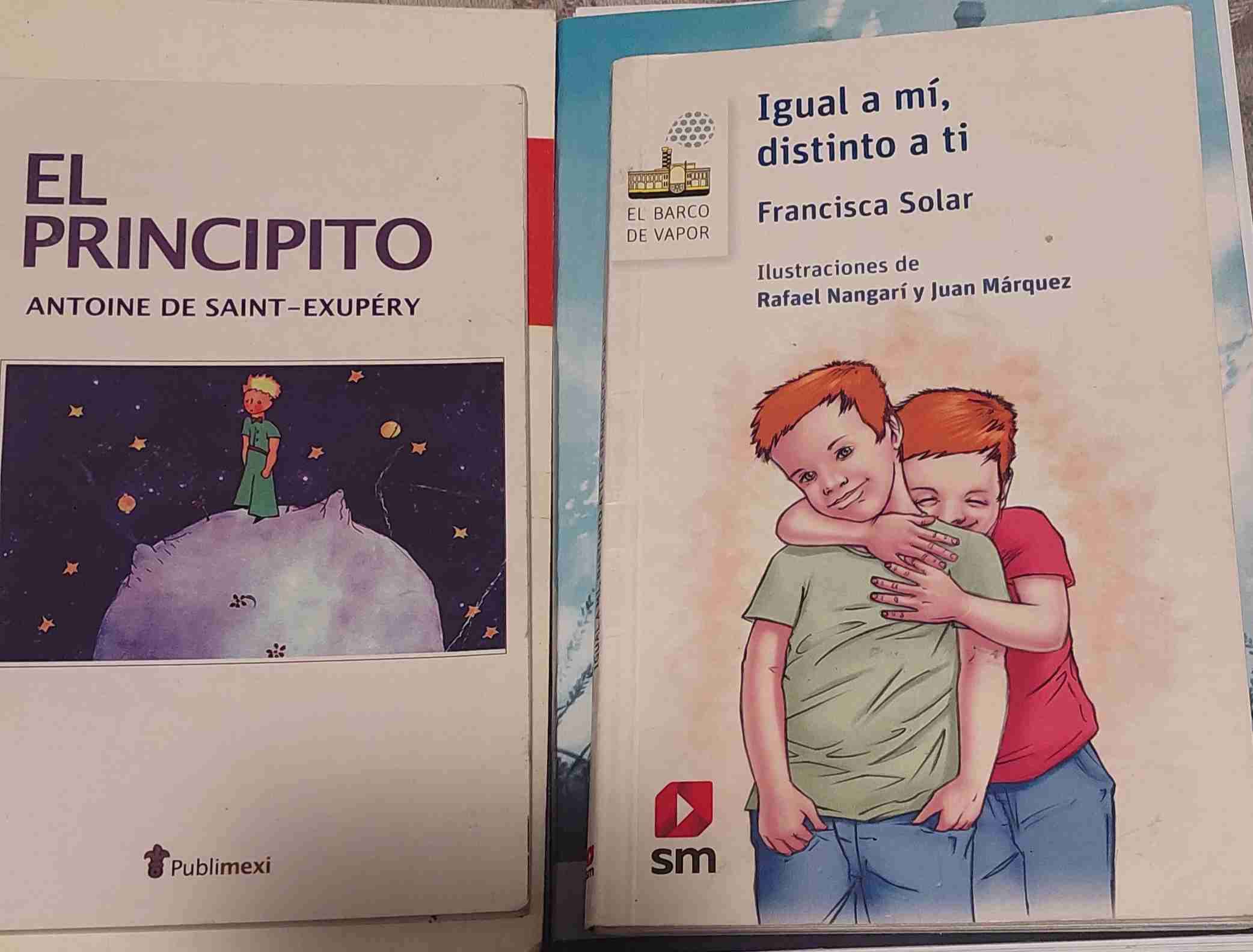 Libros Queridos Monstruos y El Castillo Ambulante - miniatura 2