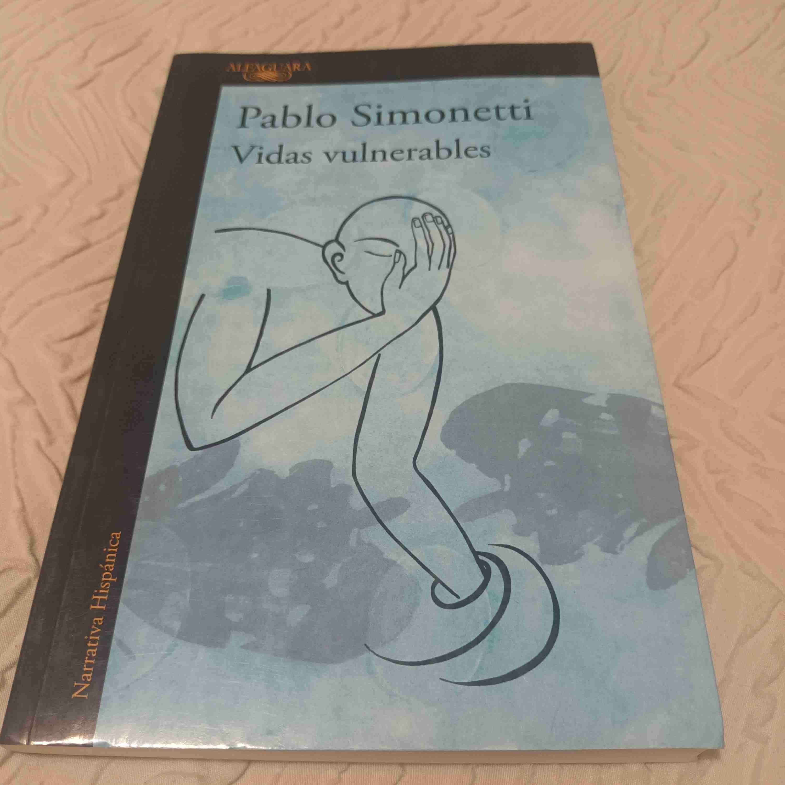 Libro 'Vidas Vulnerables' de Pablo Simonetti