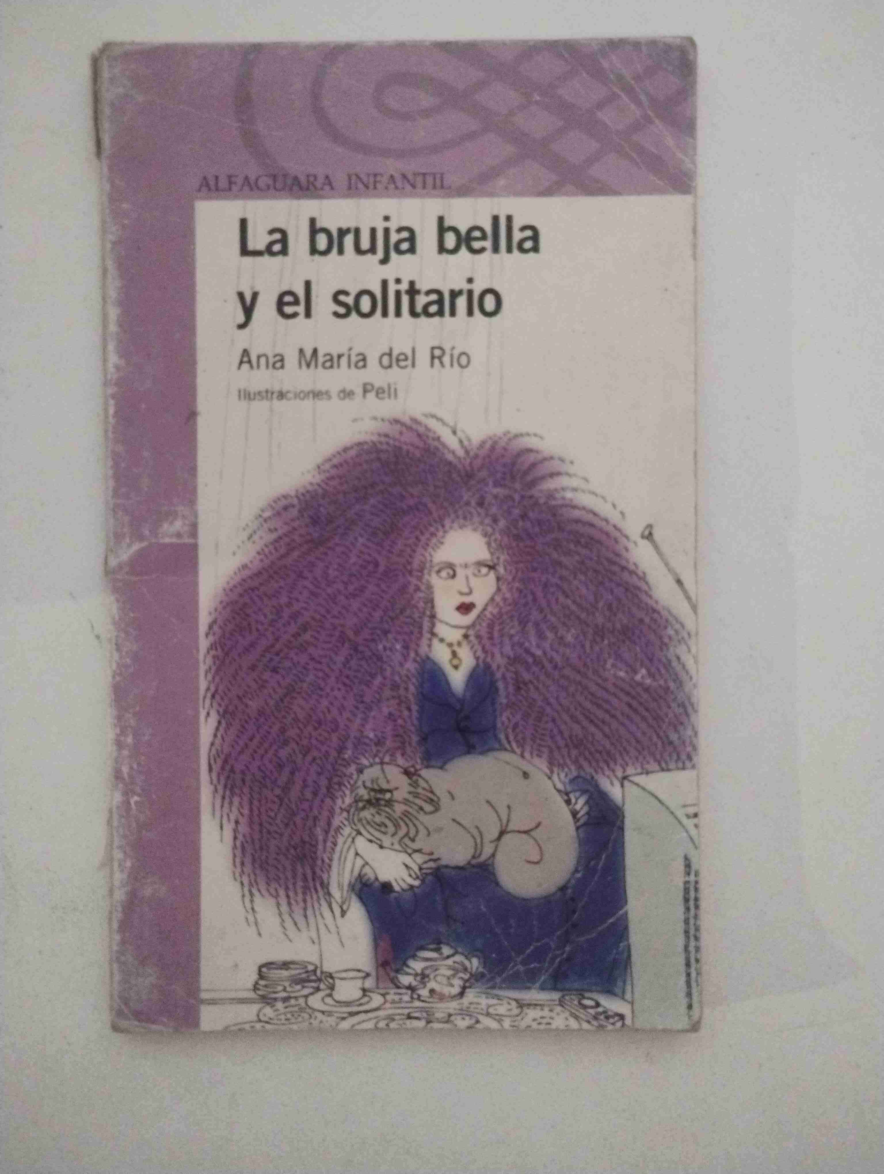 Libro La bruja bella y el solitario