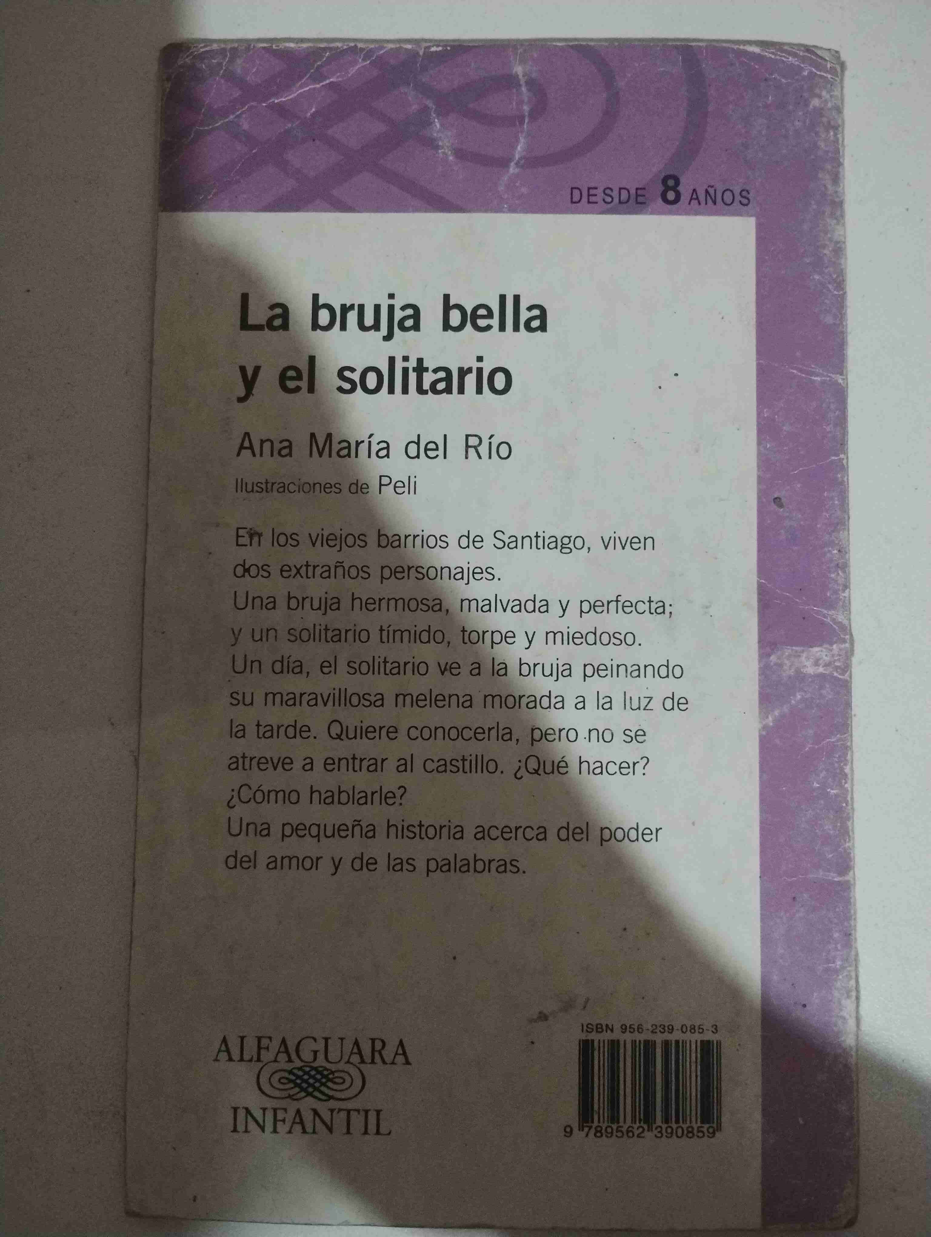 Libro La bruja bella y el solitario - miniatura 2