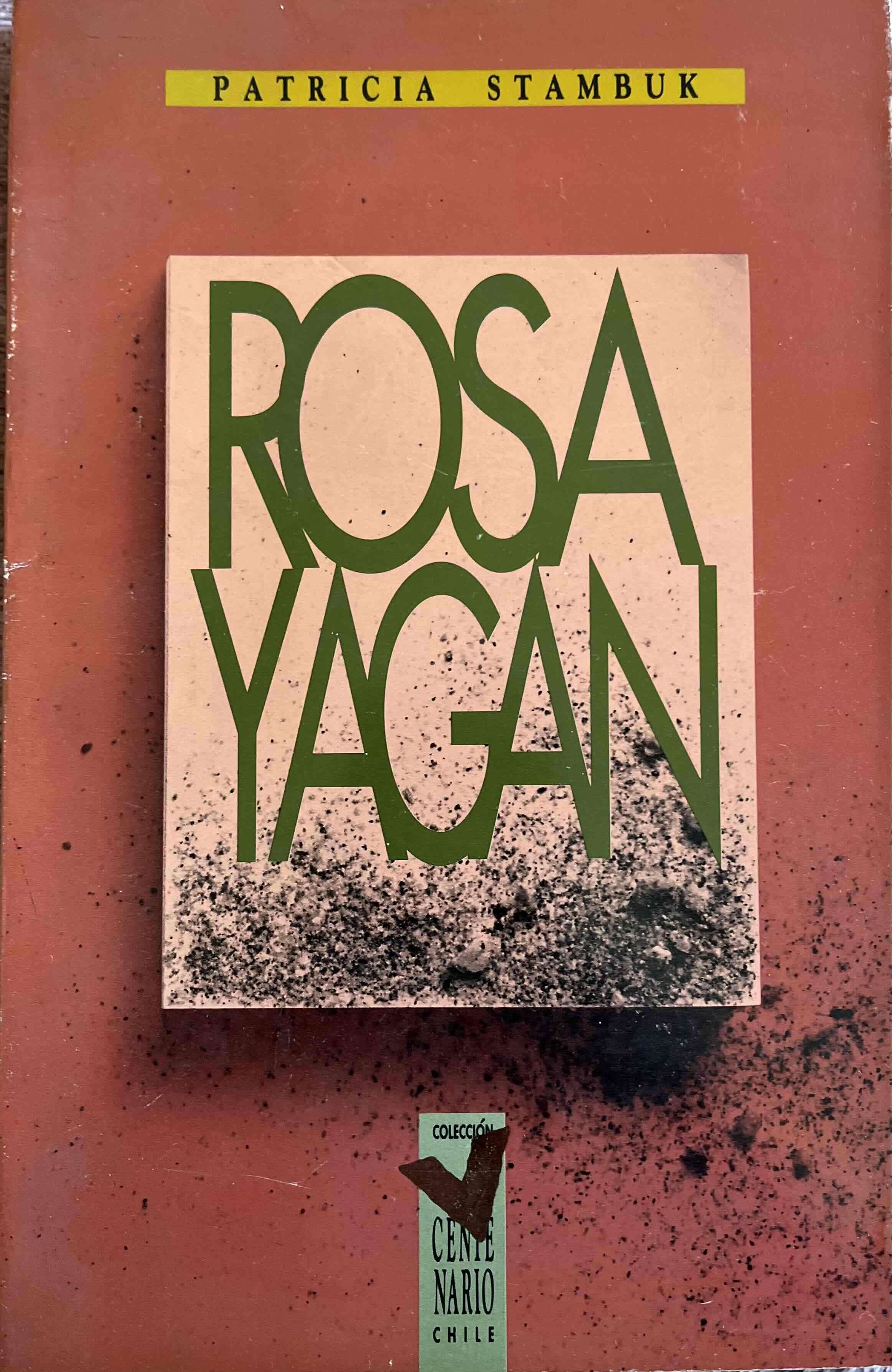 Libro Rosa Yagán Patricia Stambuk