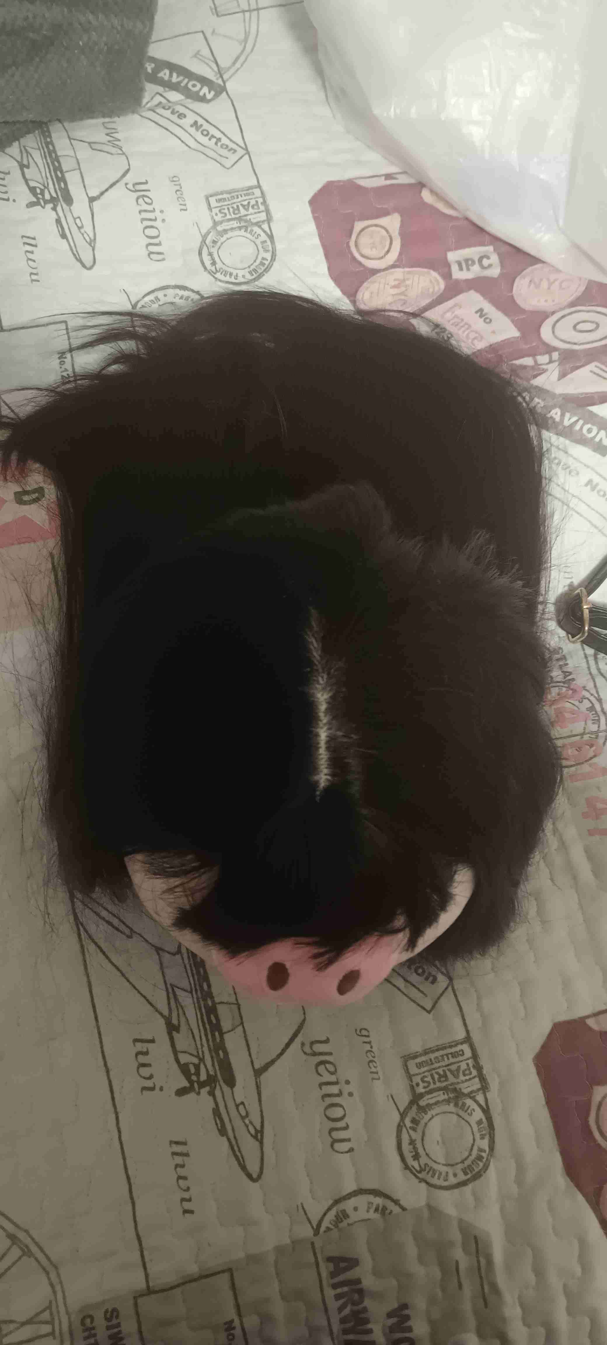 Peluca - miniatura 2