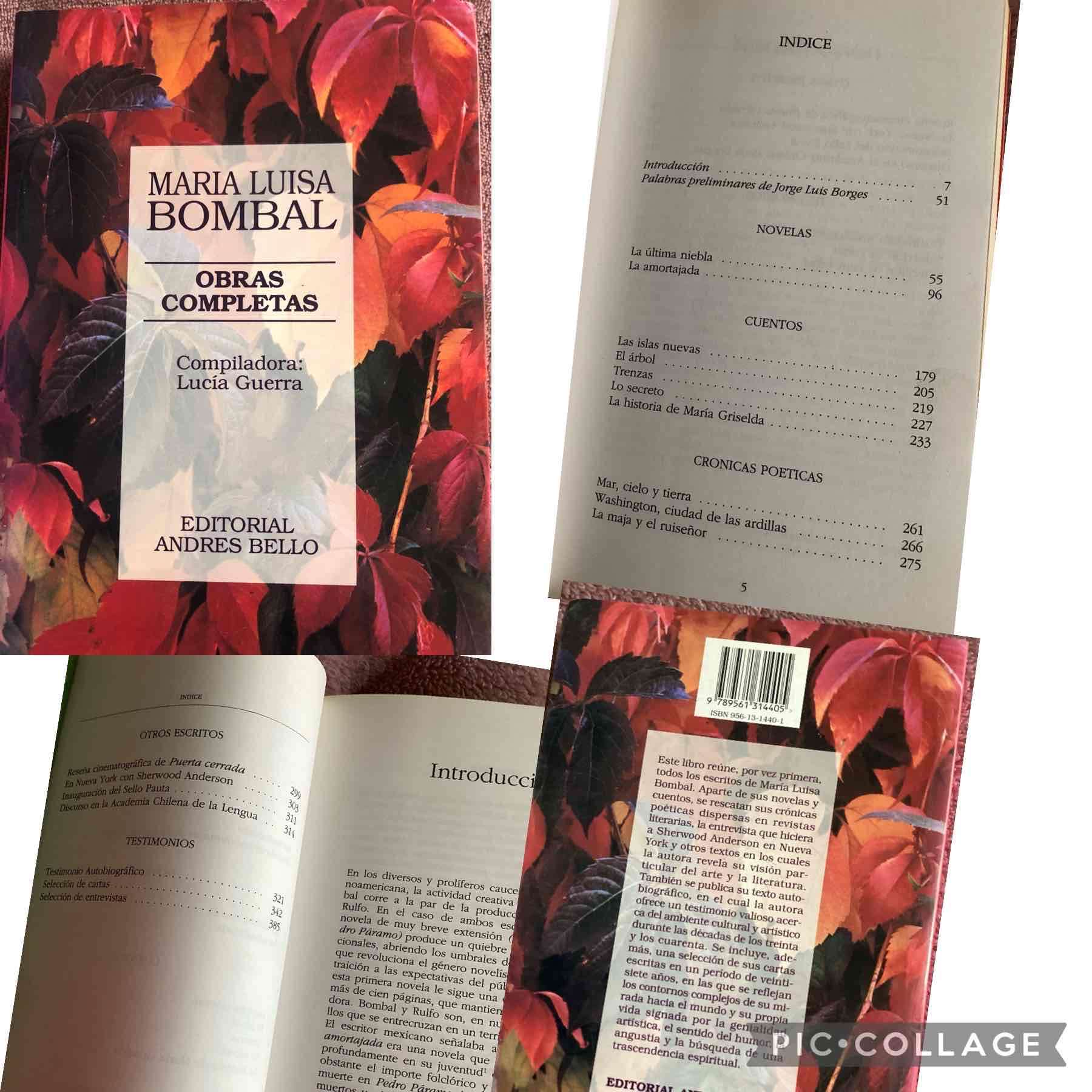 Obras Completas de María Luisa Bombal