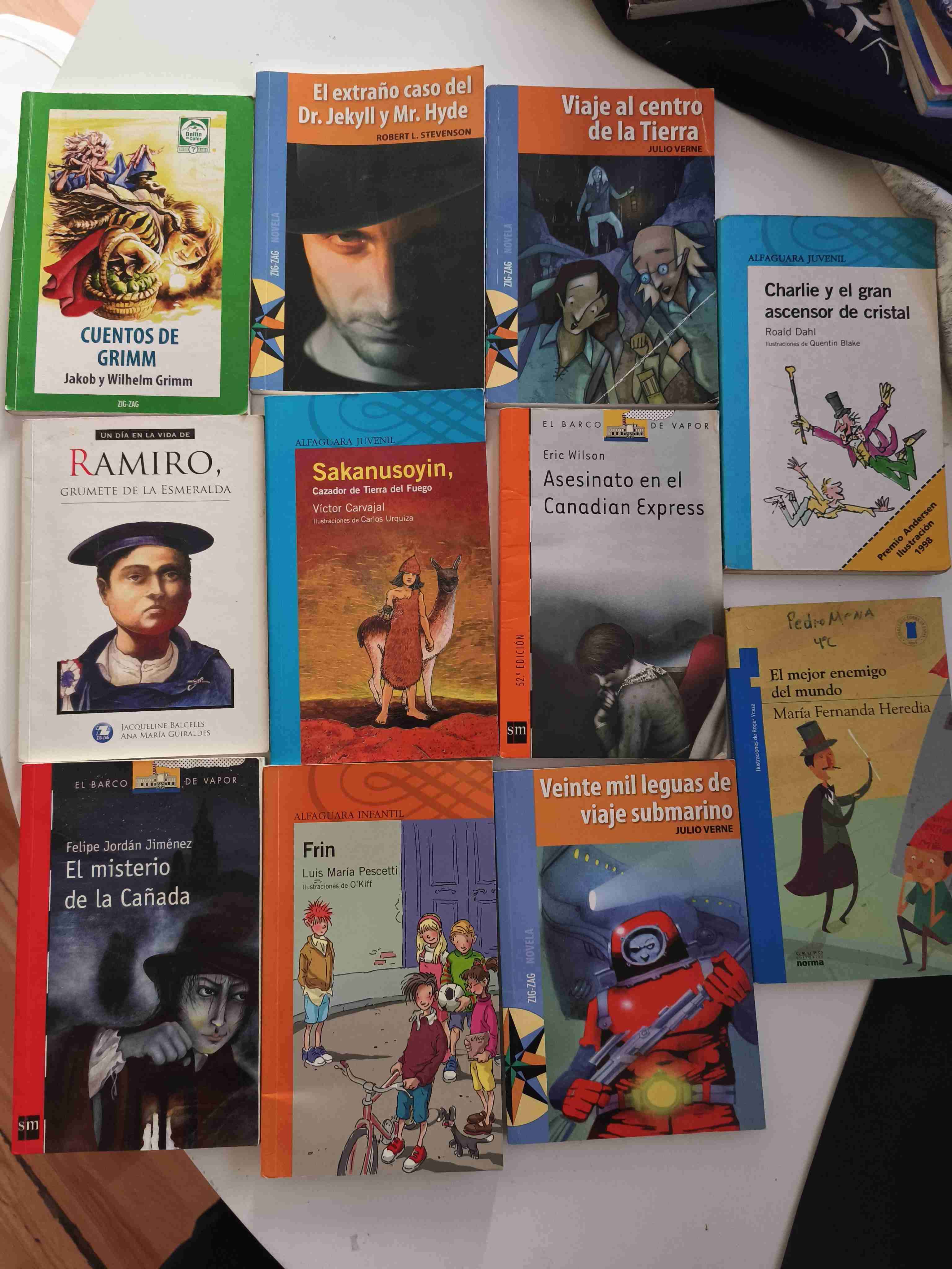 Lote de libros infantiles y juveniles