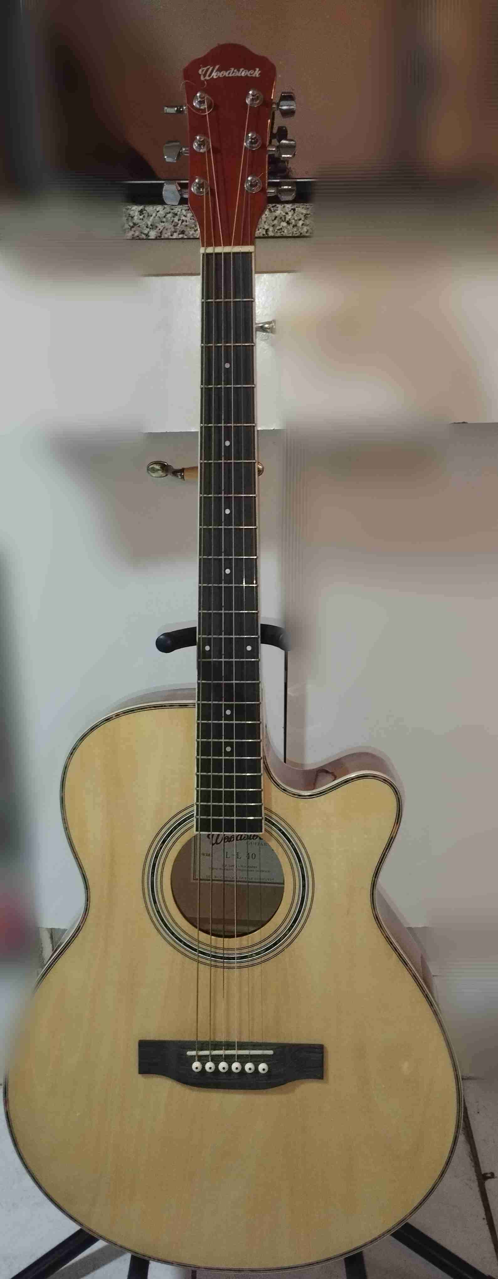 Guitarra acústica Woodstock LE 10