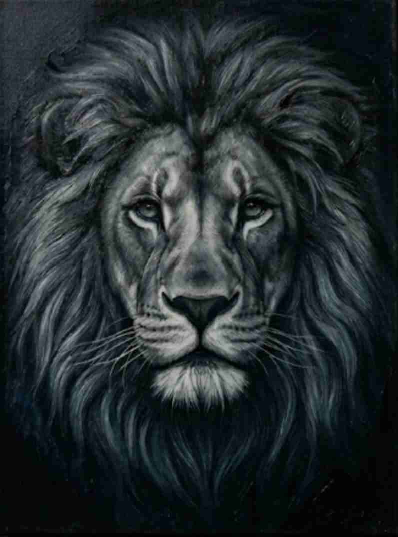 Cuadro de león en grafito estilo óleo