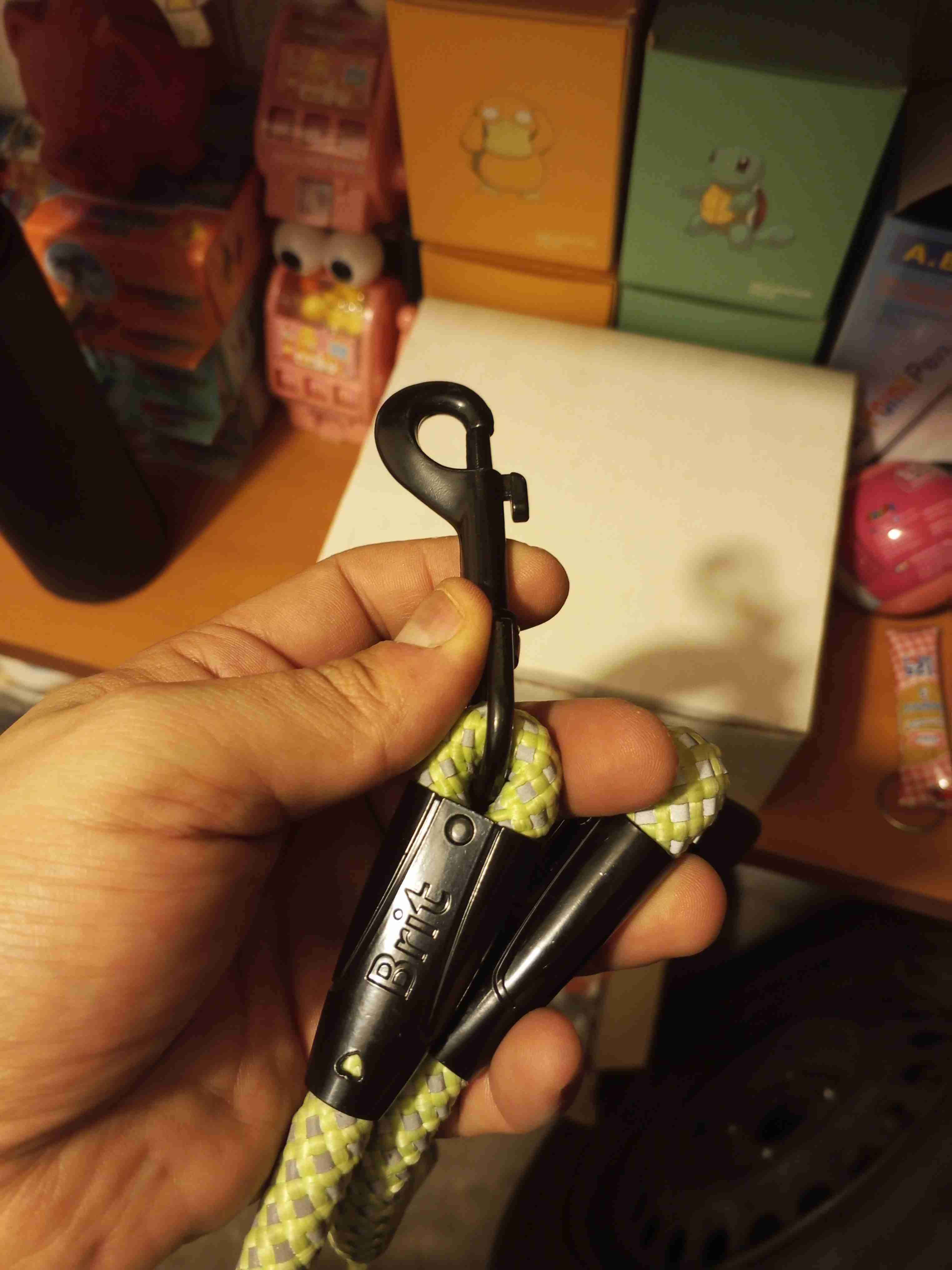 Correa para perro Brit