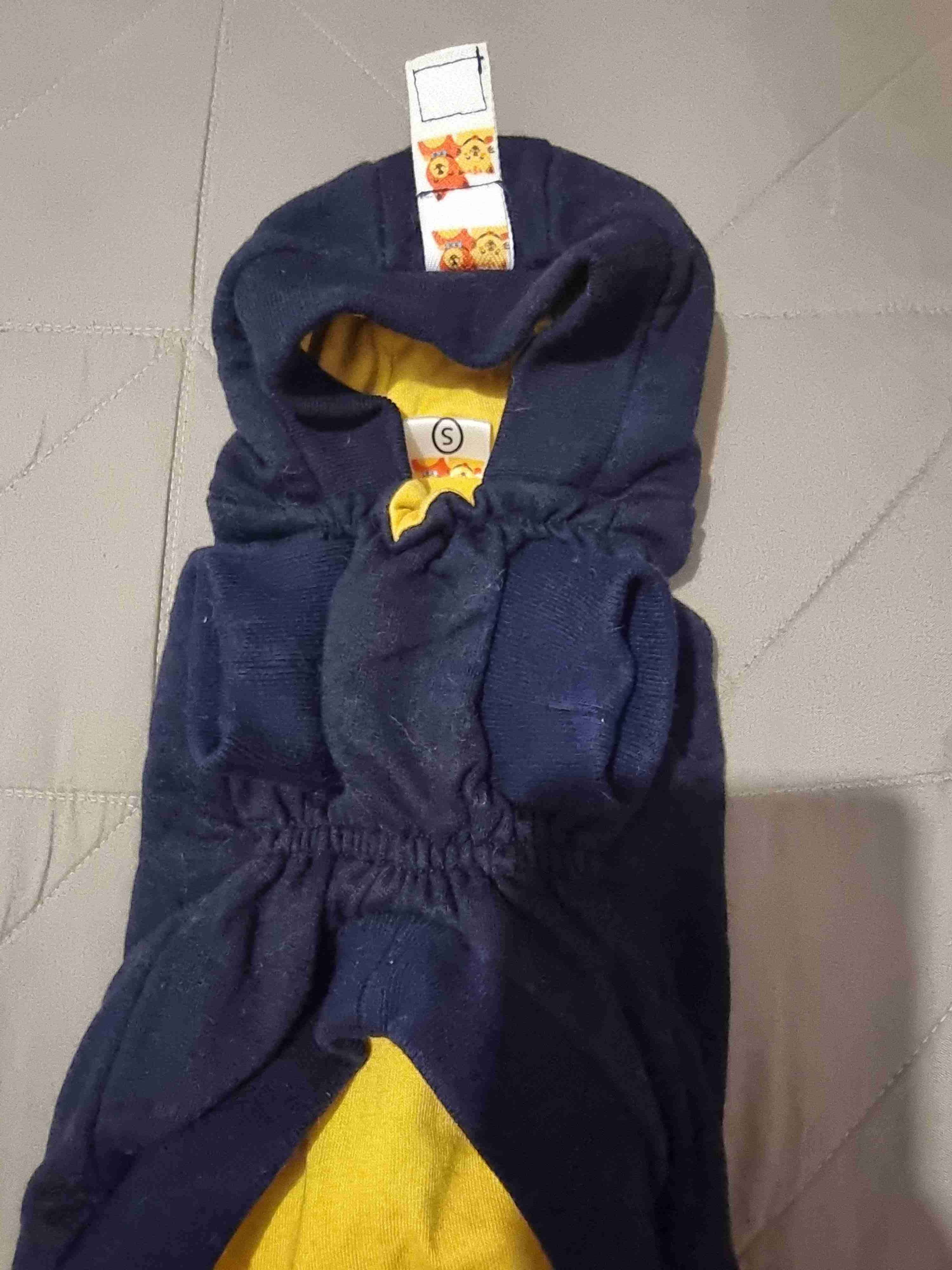 Polerón azul para mascotas - miniatura 2