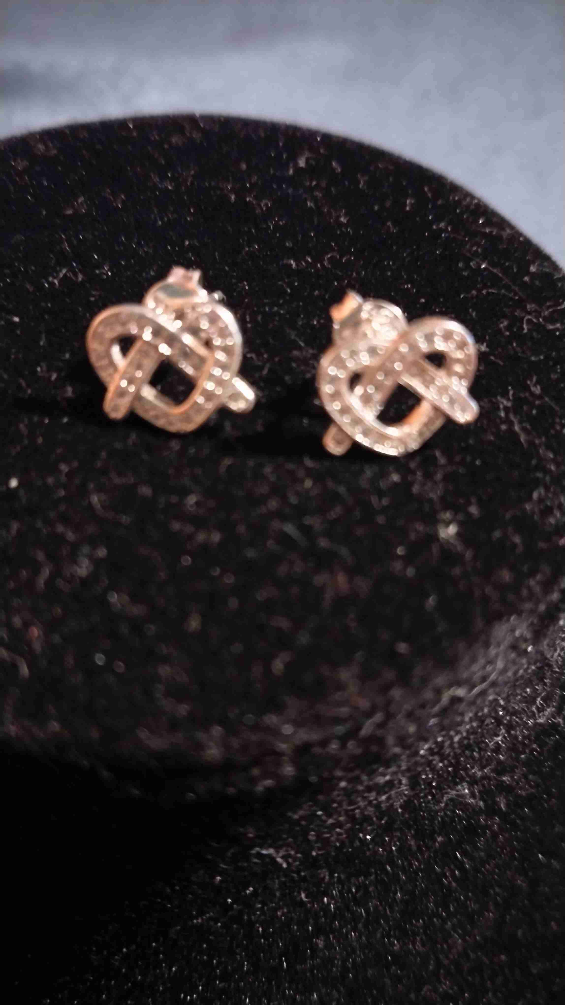 Aros de plata con diseño elegante