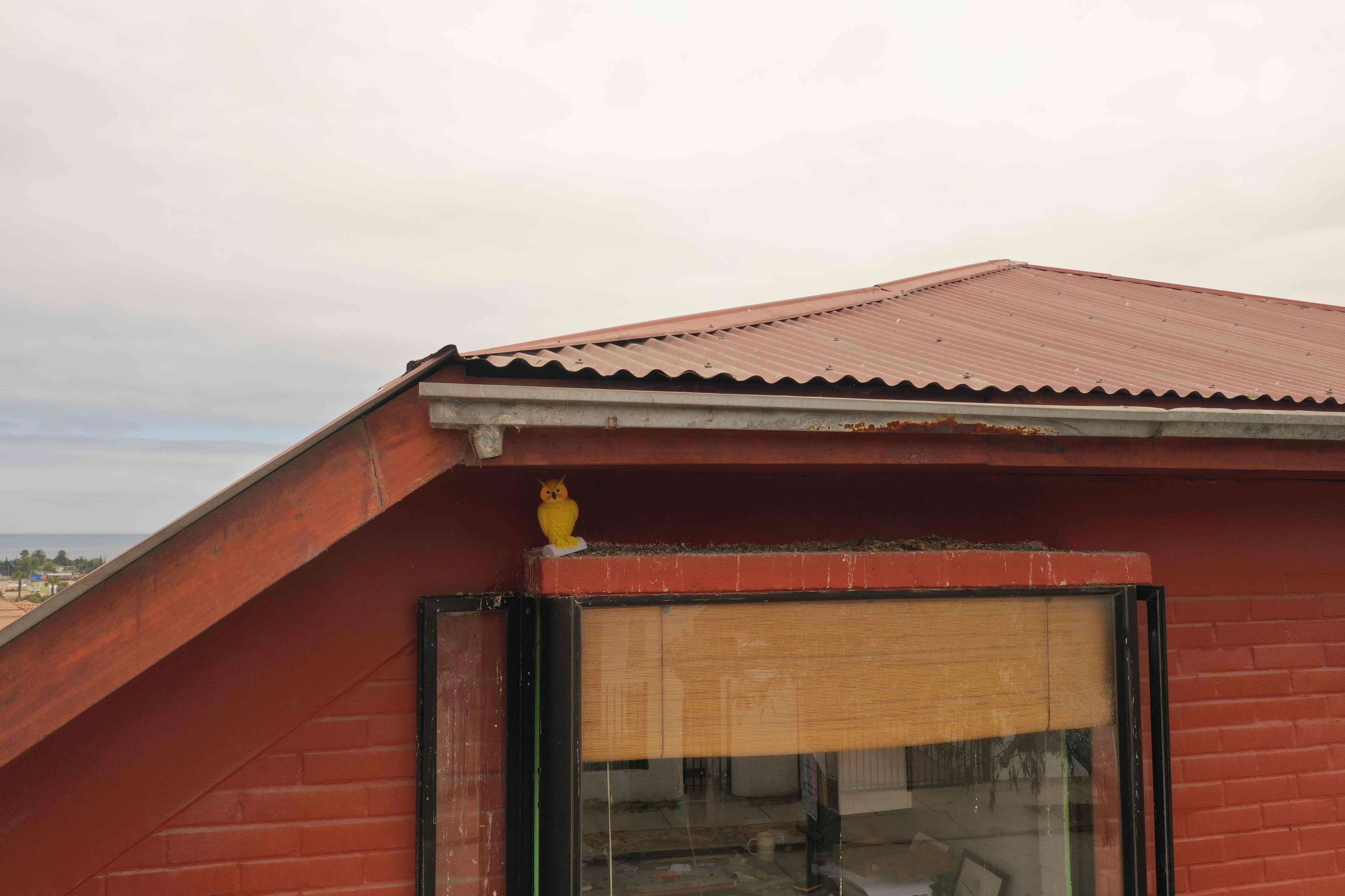 Figura de búho espanta paloma - miniatura 6