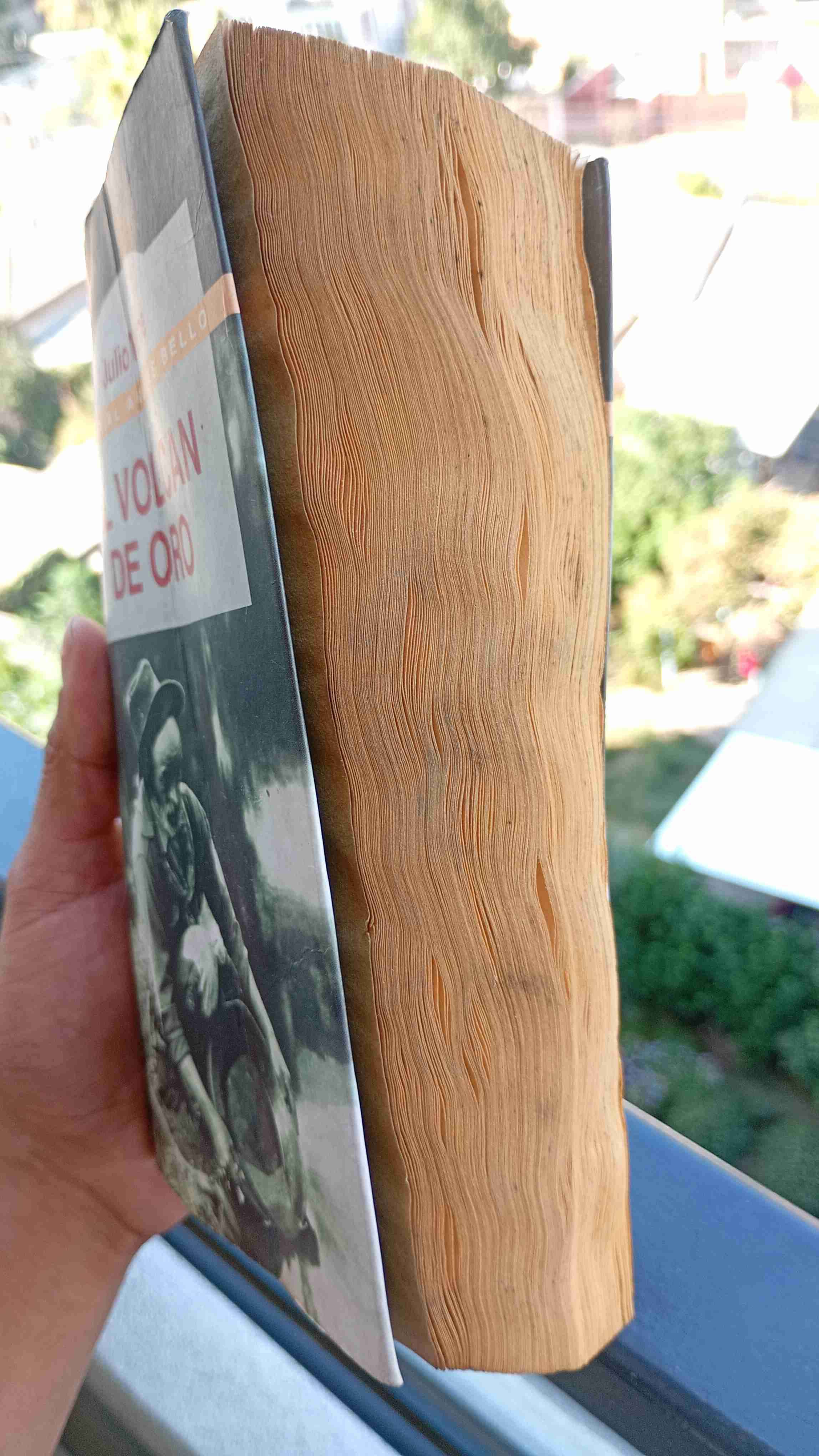 "El Volcán de Oro" de Julio Verne - miniatura 6