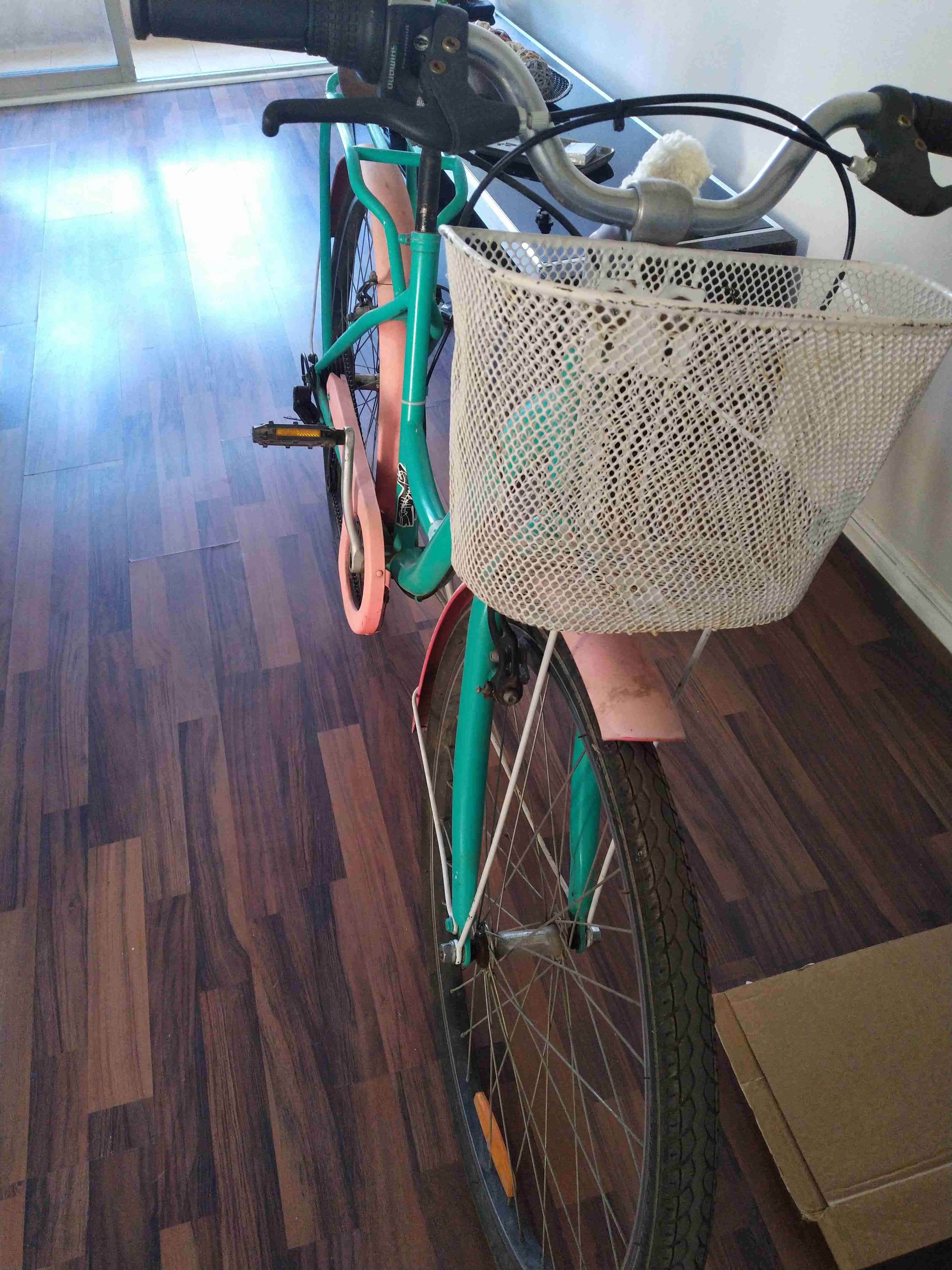 Bicicleta con canasto color verde aro 26