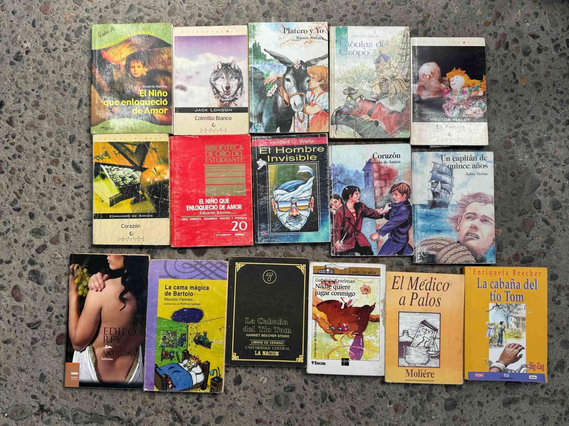 Lote de libros clásicos variados