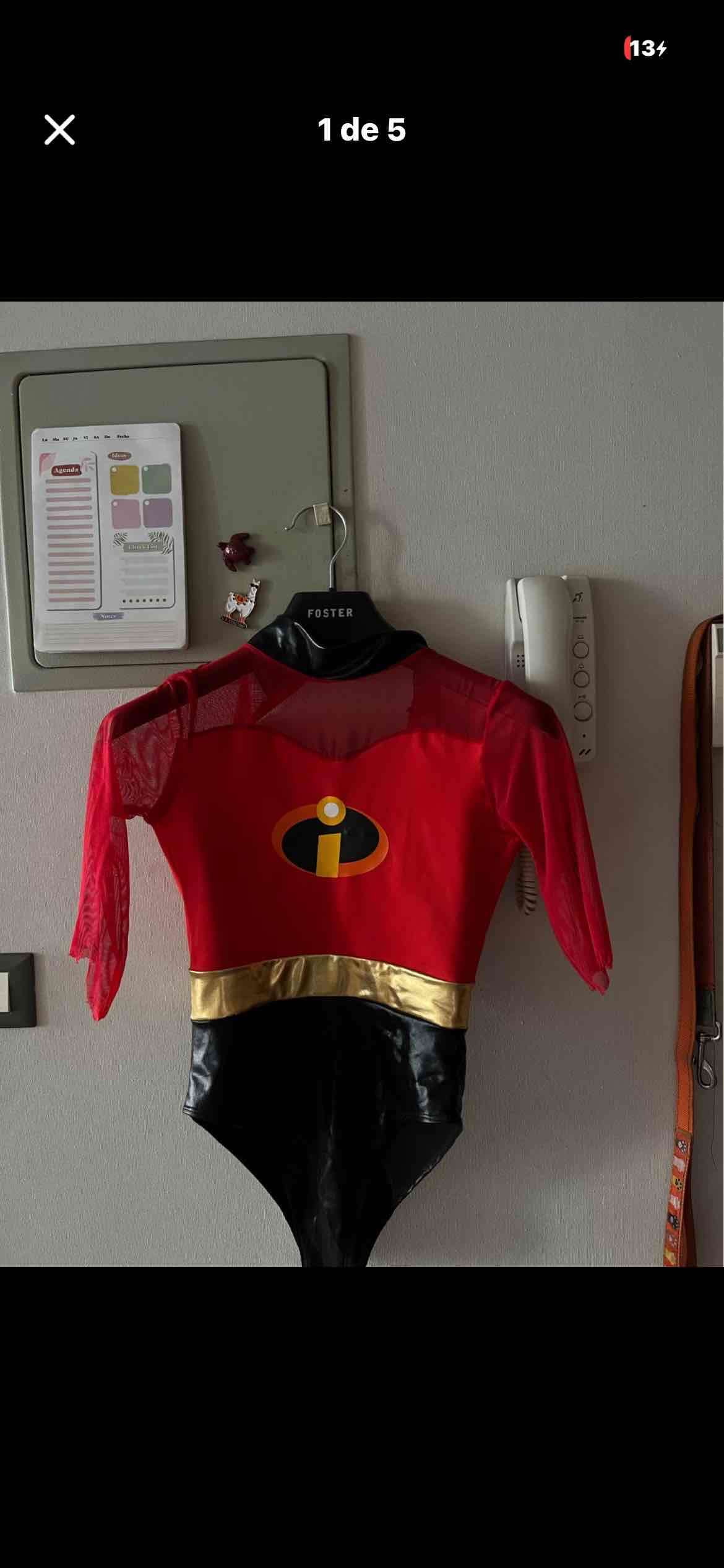 Disfraz de Elastic Girl