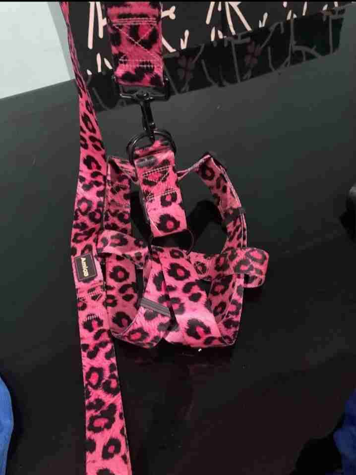 Arnés rosa para mascotas