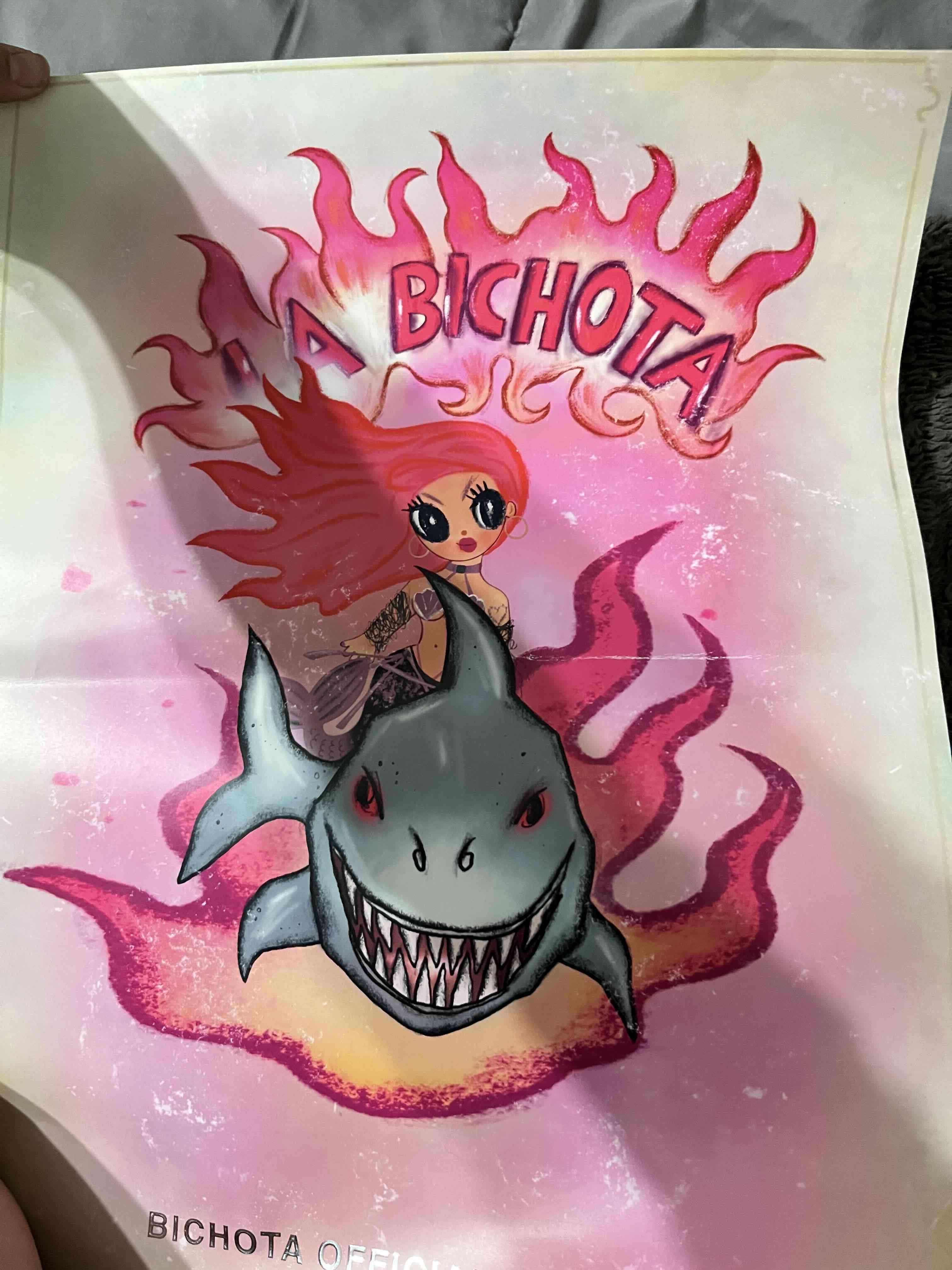 Poster Bichota Tour Original