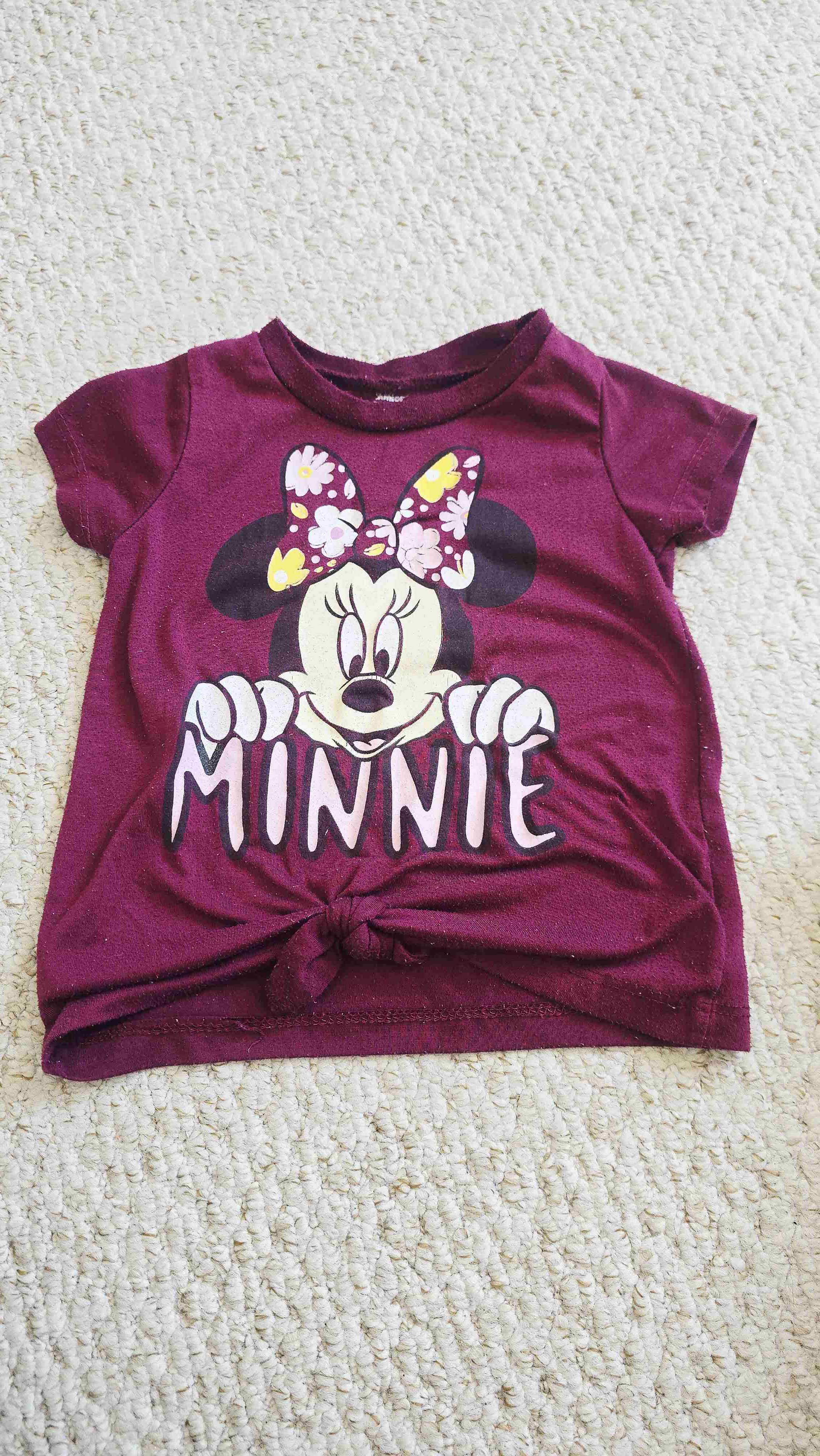 Pack x2 Poleras infantil Minnie. Disney Junior