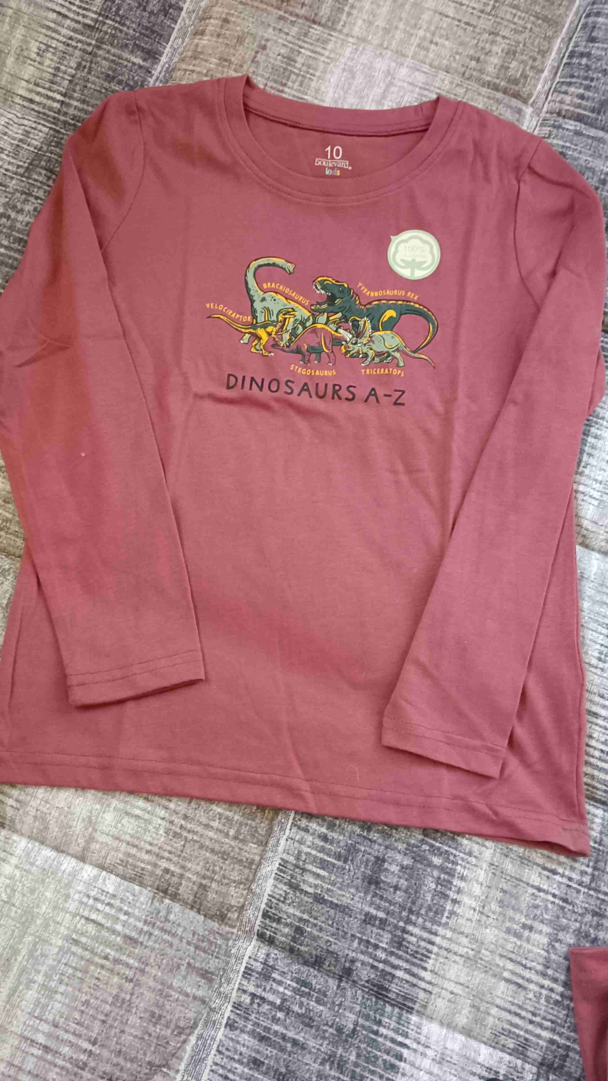 Polera infantil dinosaurios burdeos