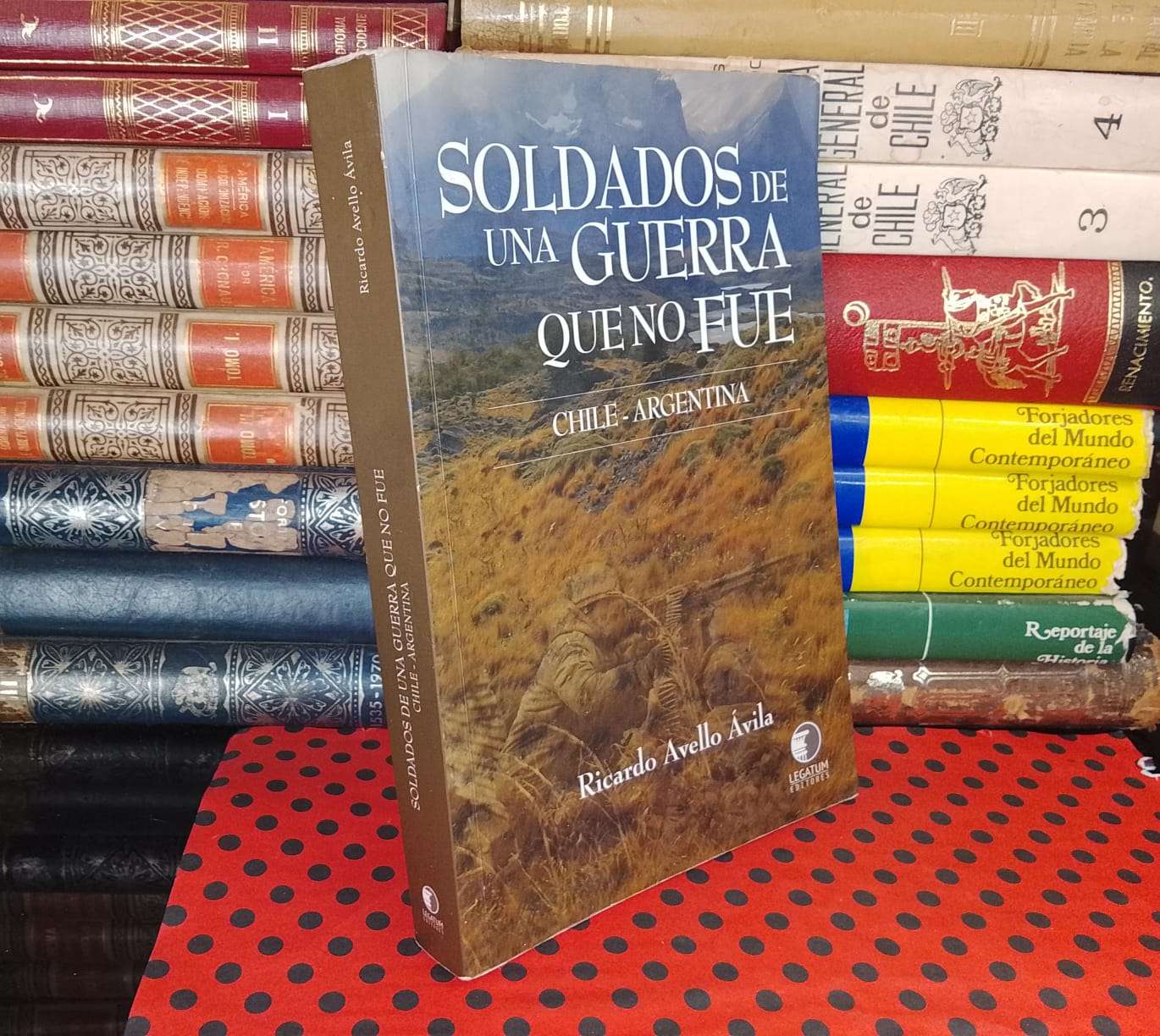 Soldados De Una Guerra Que No Fue - Ricardo Avello