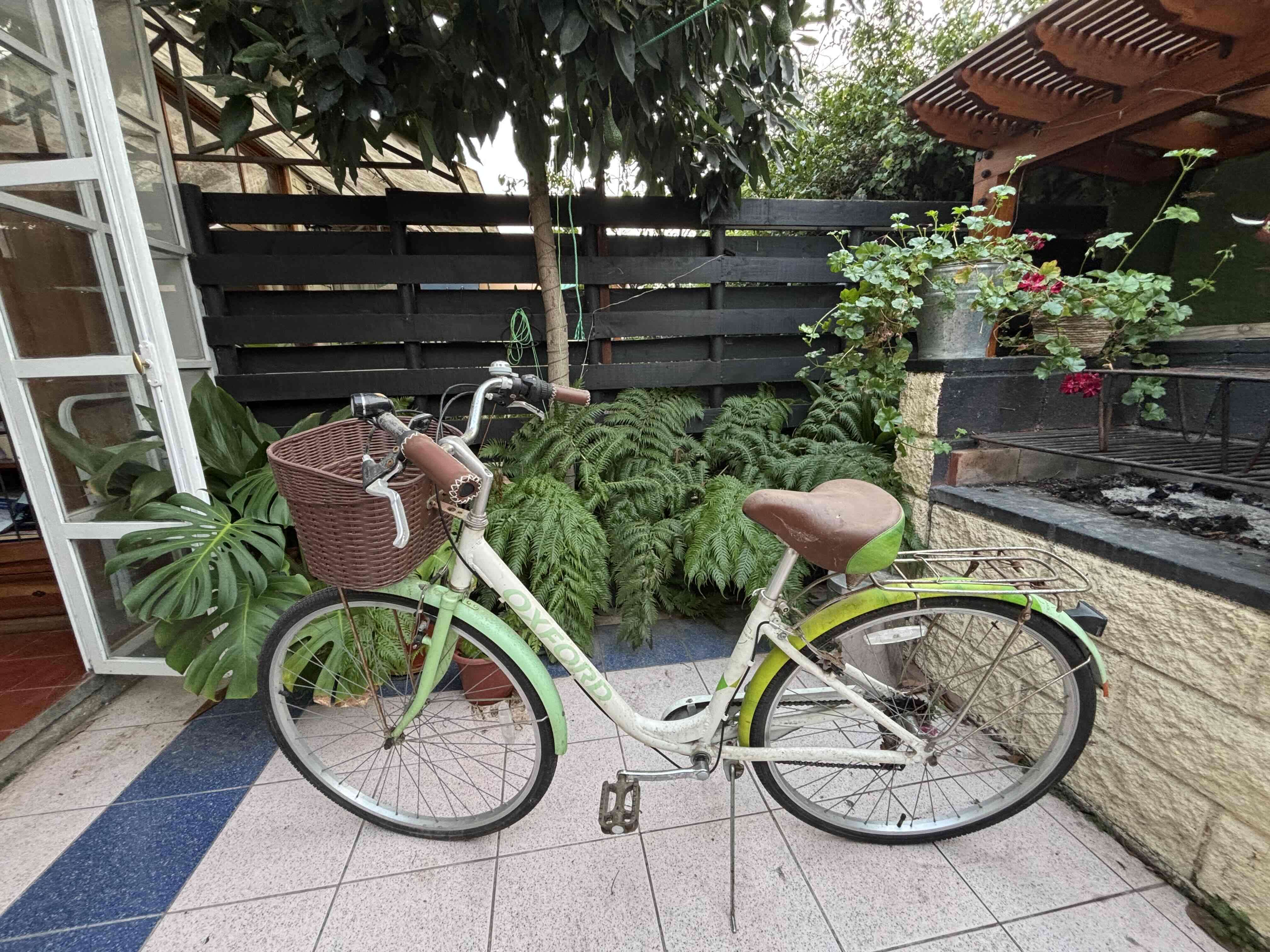 Bicicleta de paseo vintage