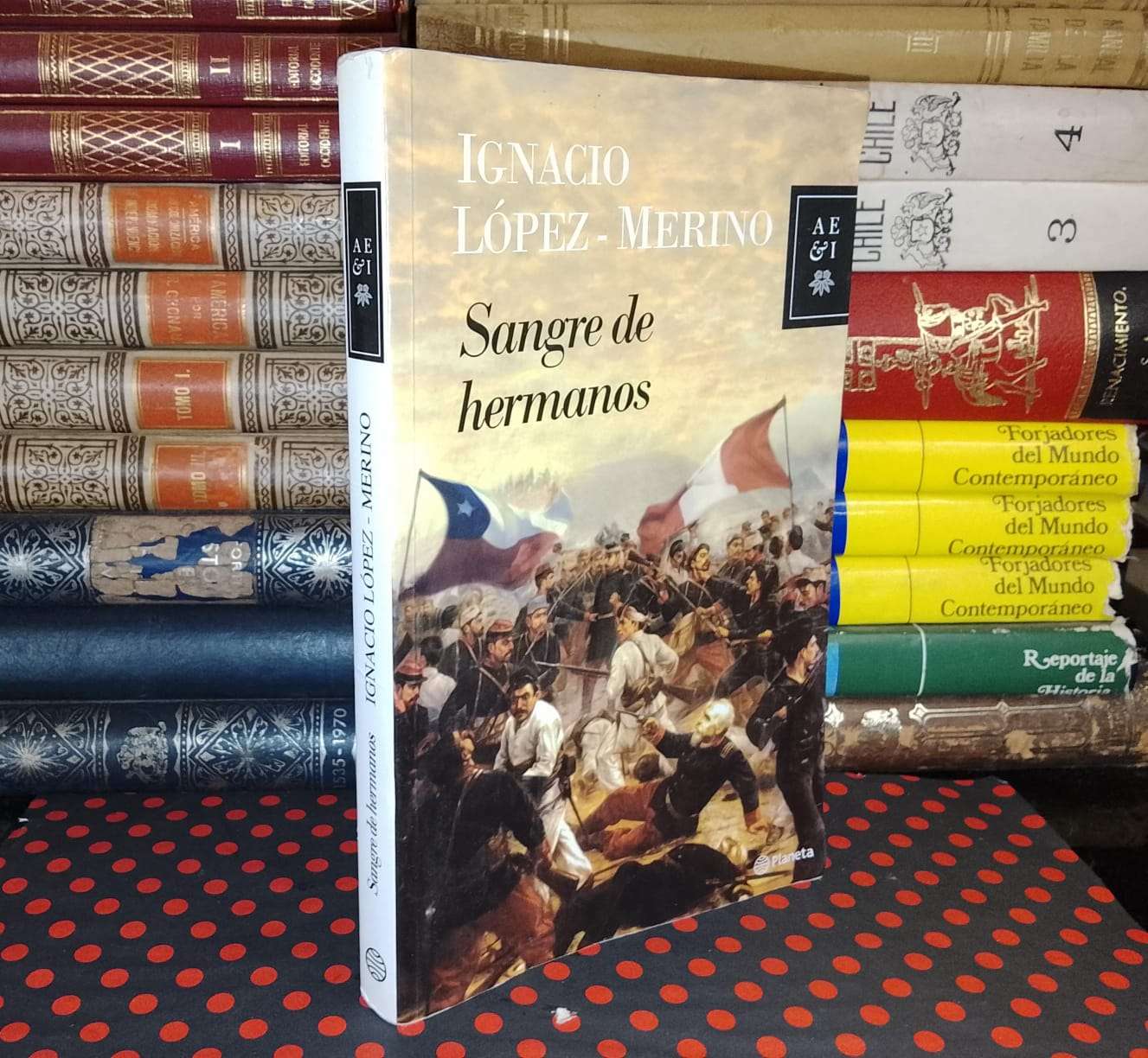 Sangre De Hermanos - Ignacio López - Merino