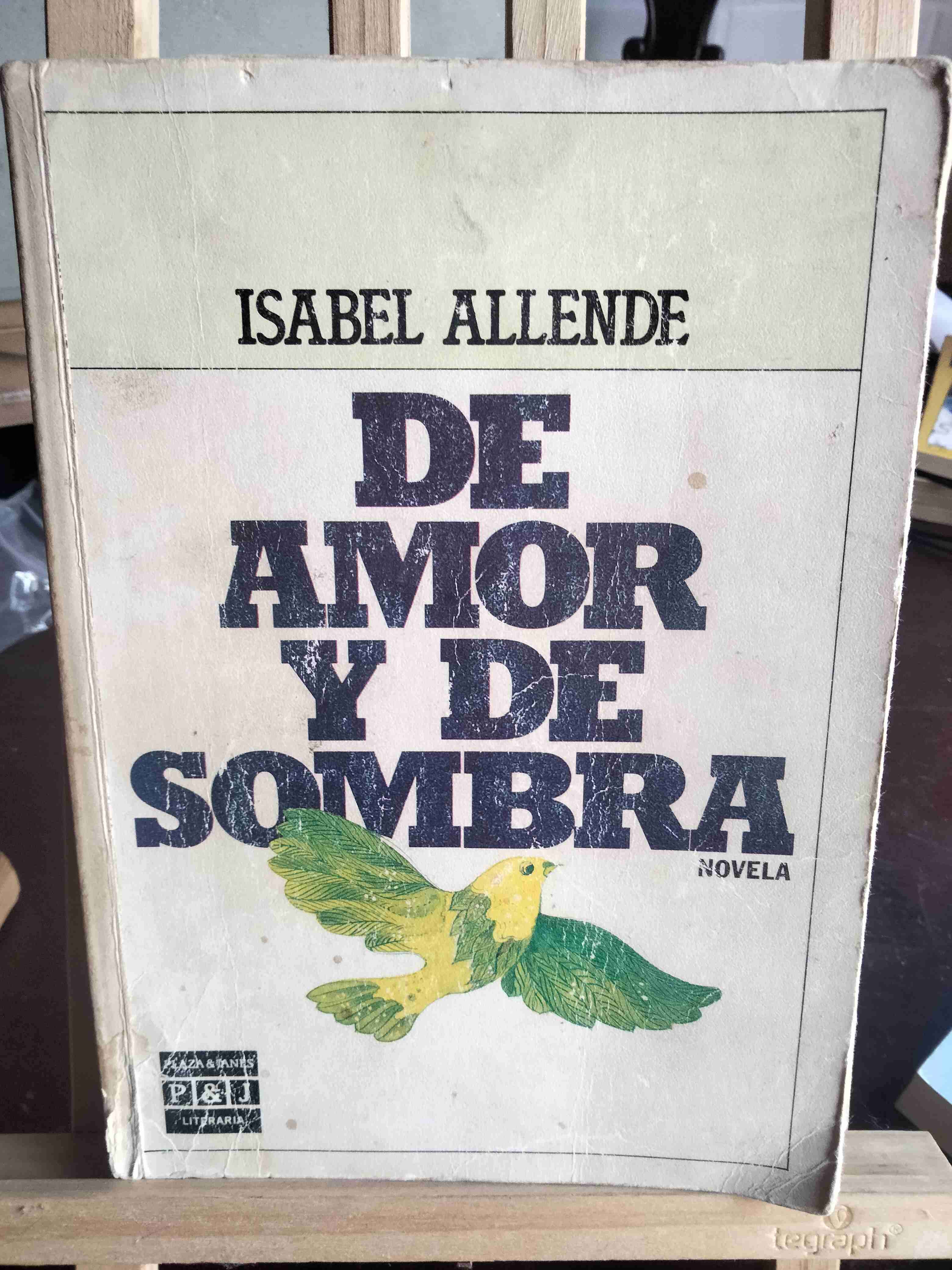 Libro 'De Amor y de Sombra'