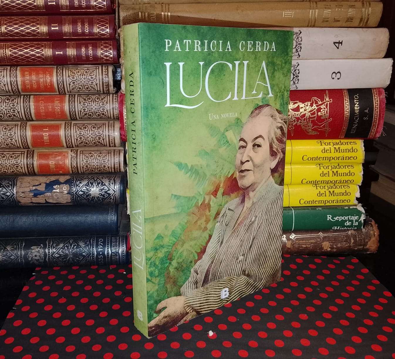 Lucila - Patricia Cerda