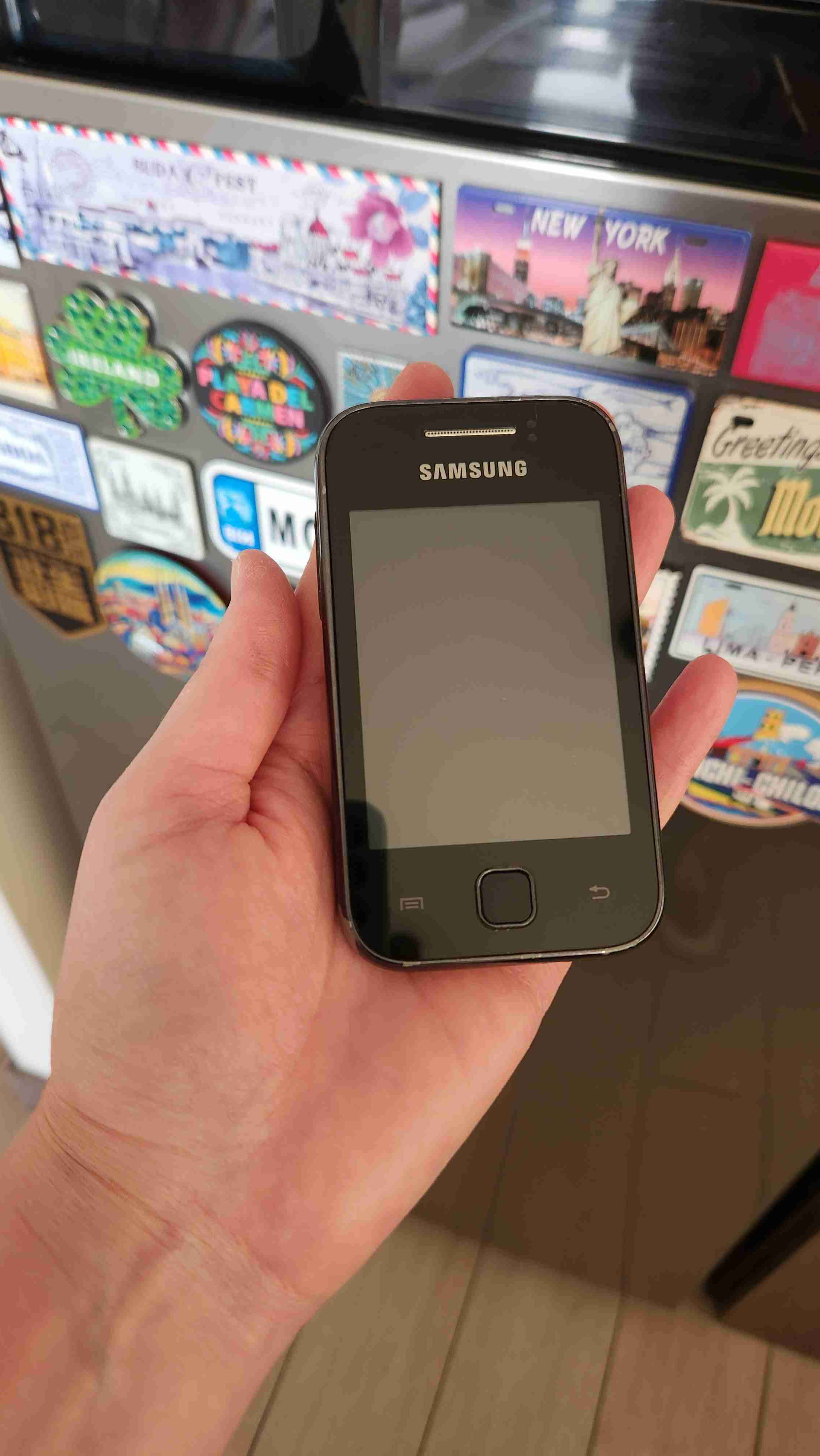 Celular Samsung young