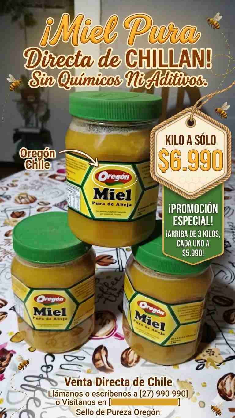 Miel pura de Chillán 1kg