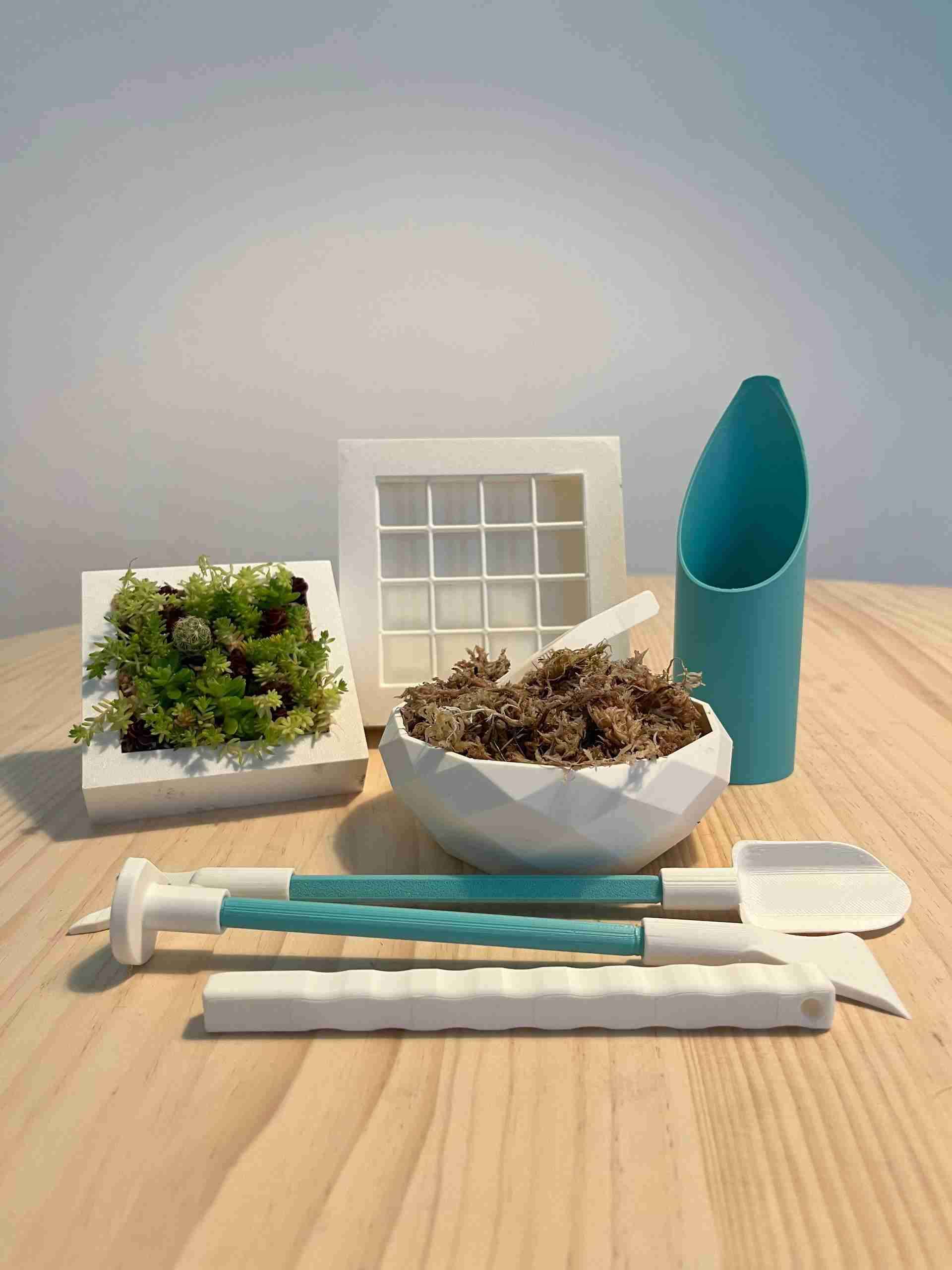 Kit para cuadros vivos de suculentas