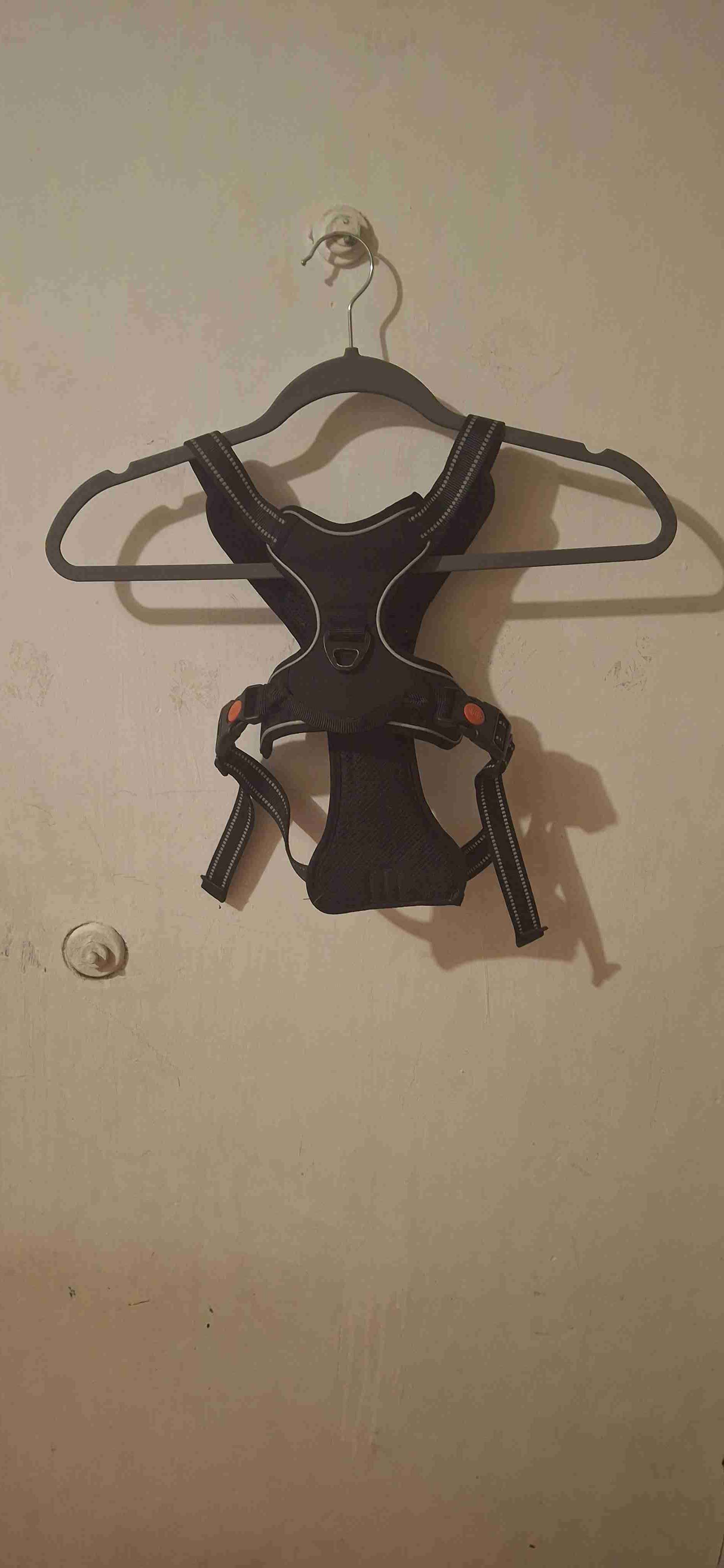 Arnés de perro 🐶 marca Club de perros y gatos