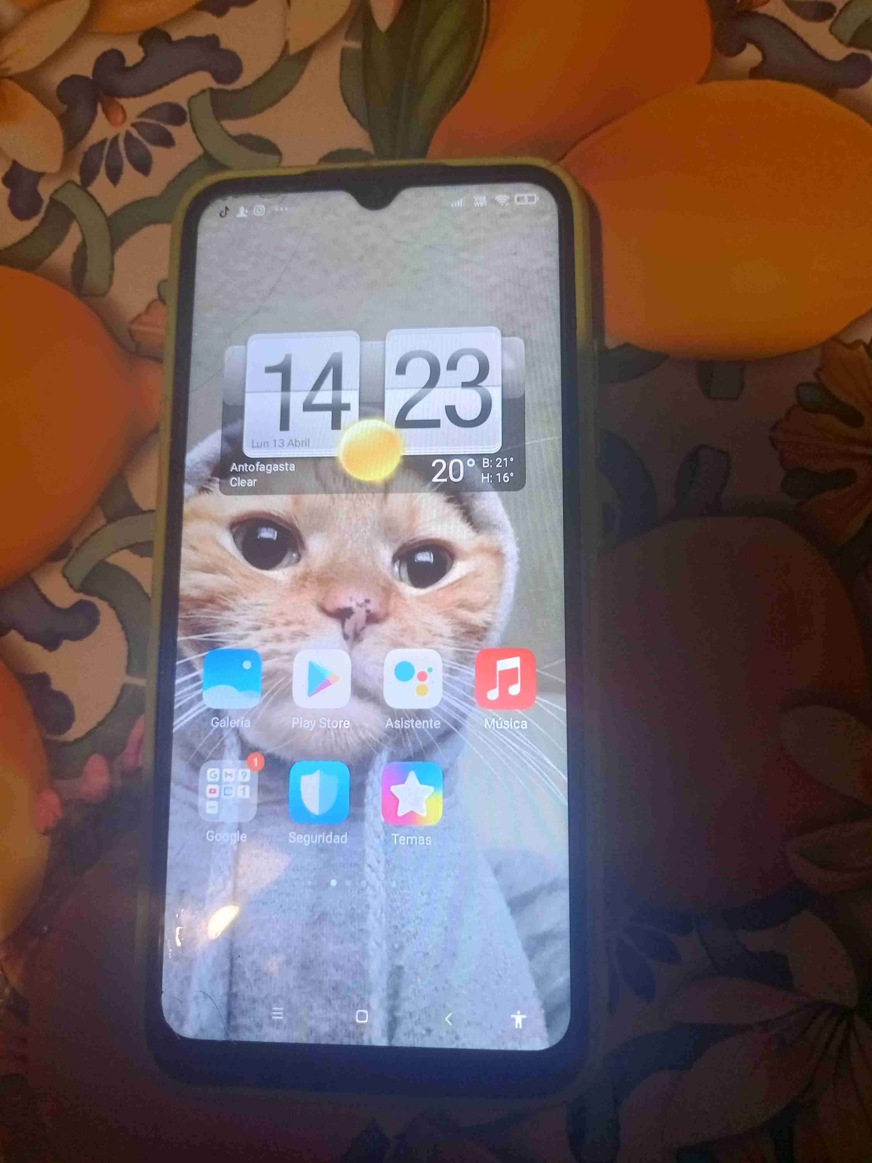 Redmi 9c funcionamiento 10 de 10