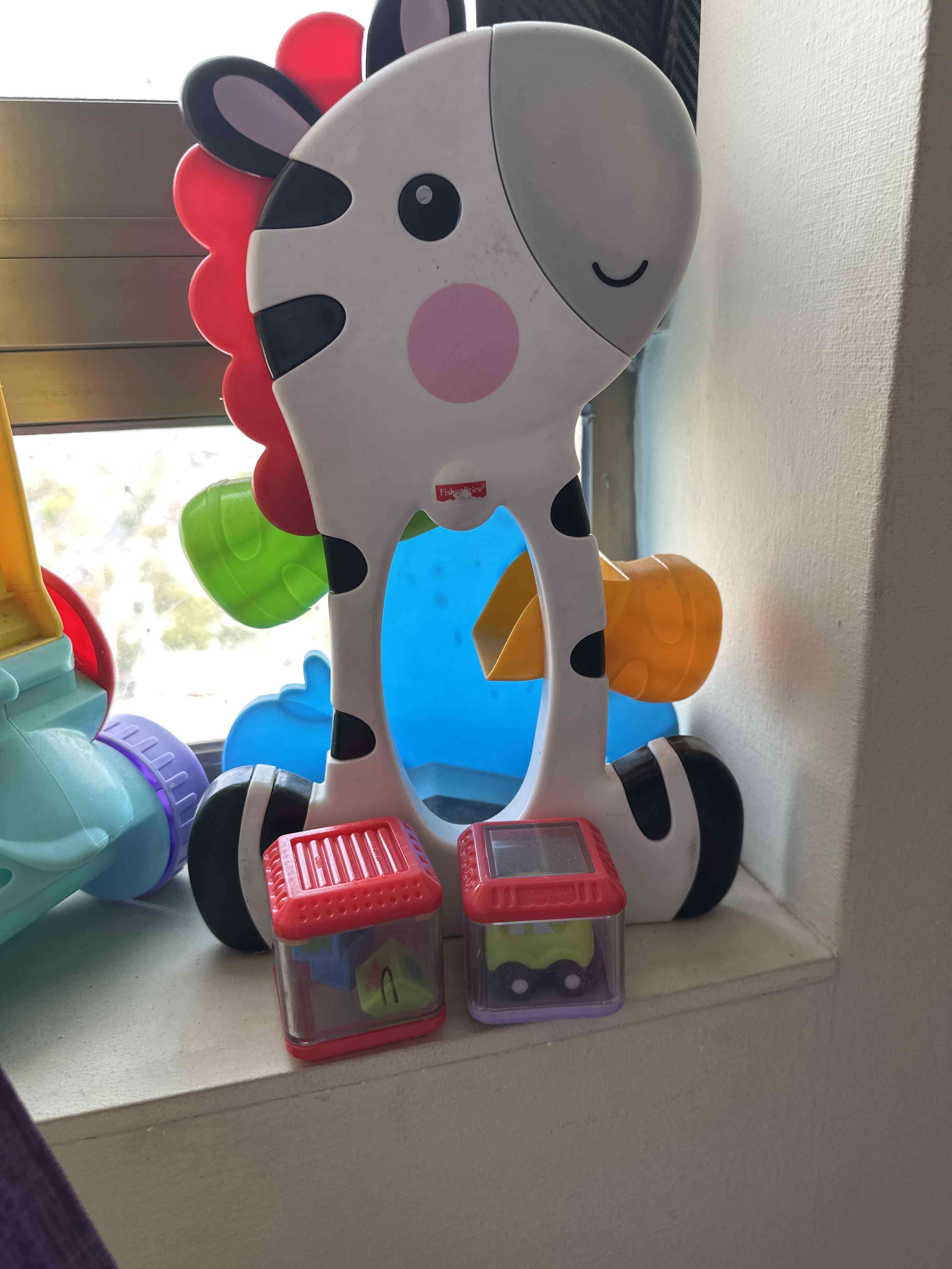 Cebra infantil cebra colorida