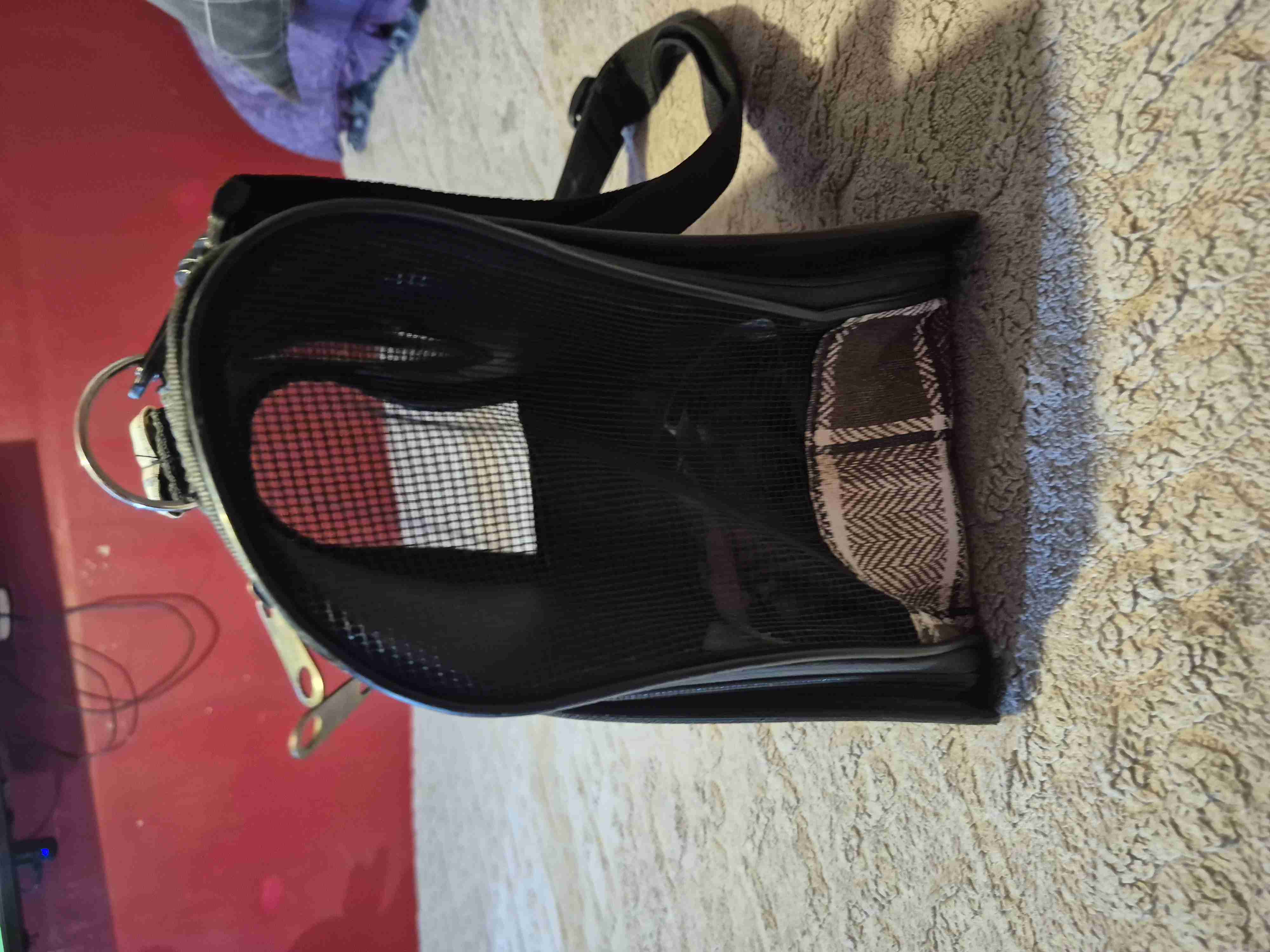 Transportadora de mascotas negra