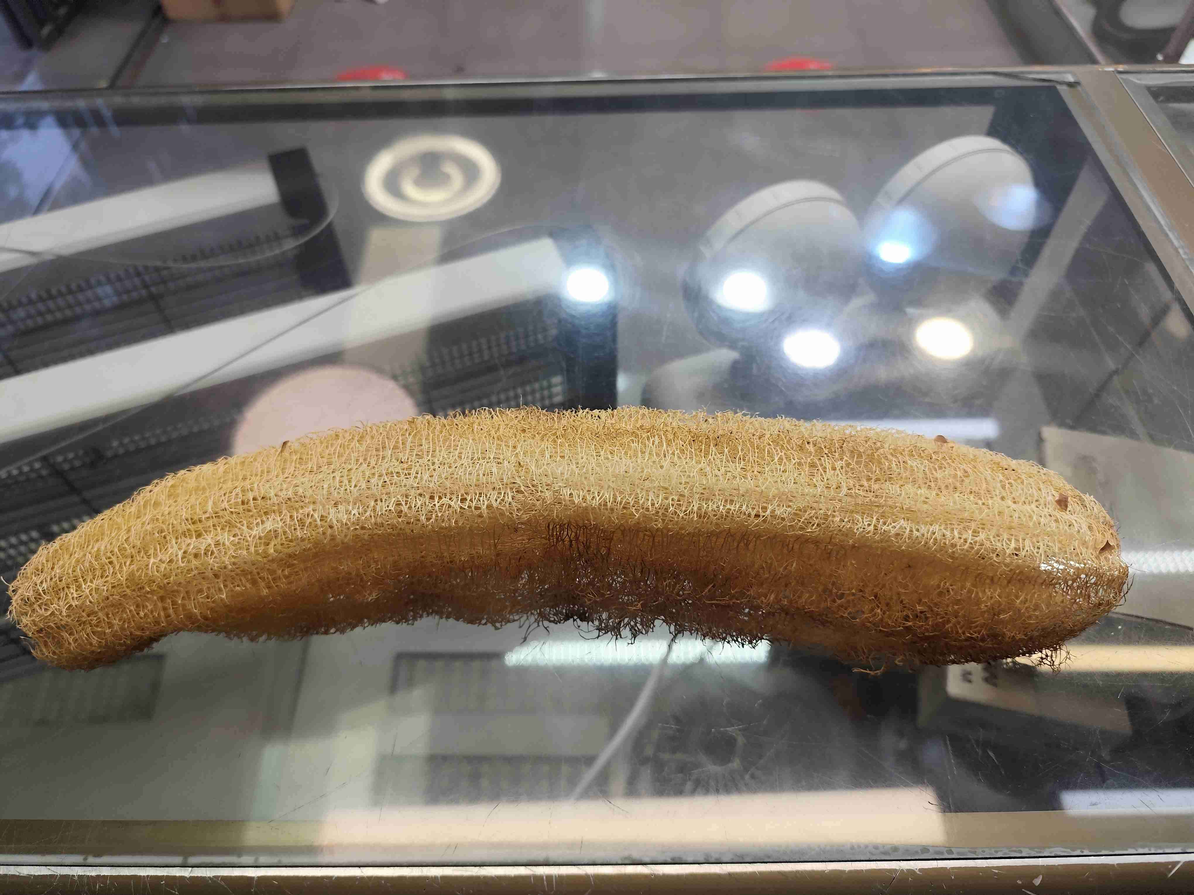 Esponja vegetal lufa