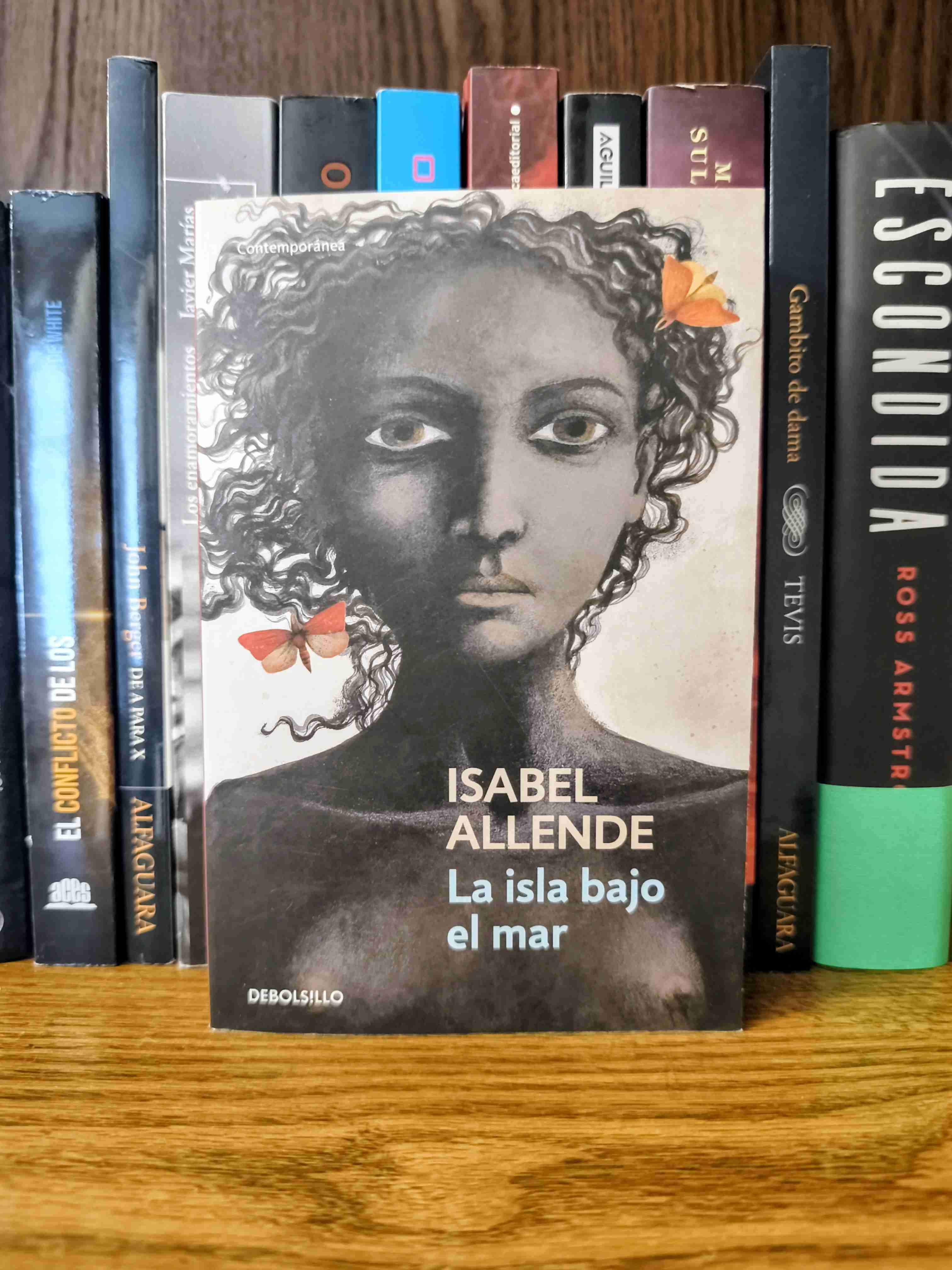 Libro 'La isla bajo el mar'