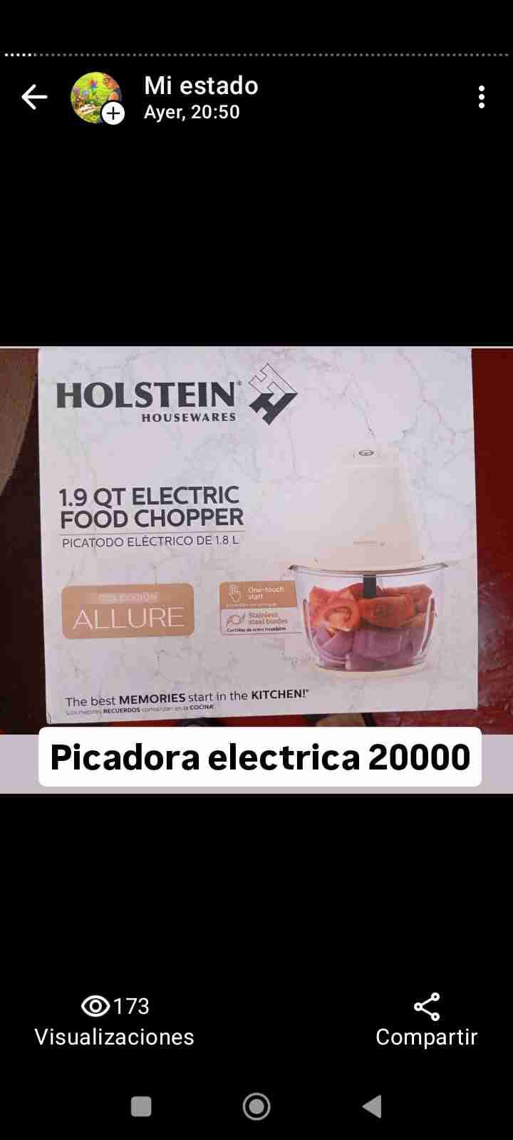 Picadora eléctrica Holstein