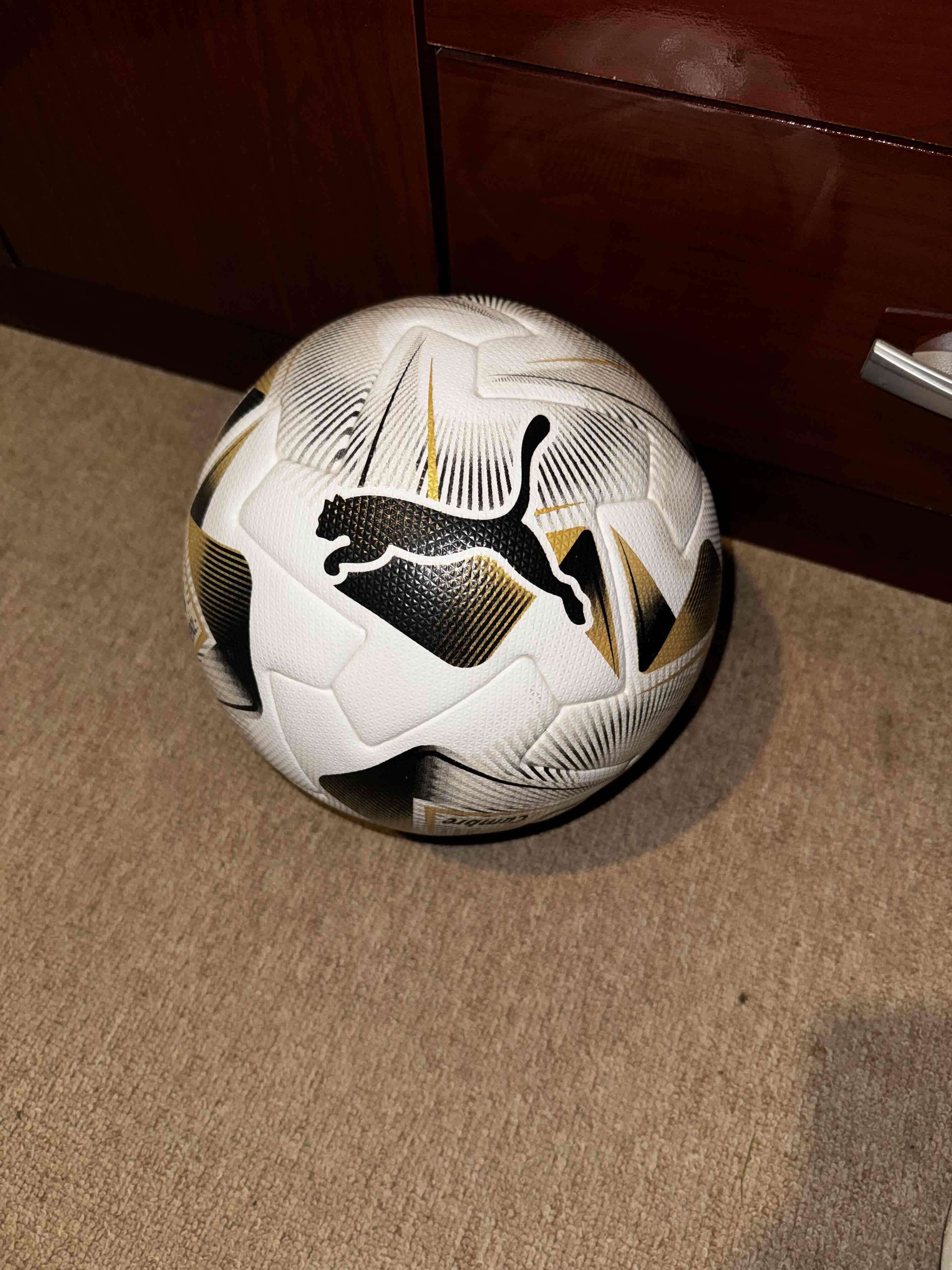 Balón de fútbol Puma libertadores fifa Quality pro - miniatura 1