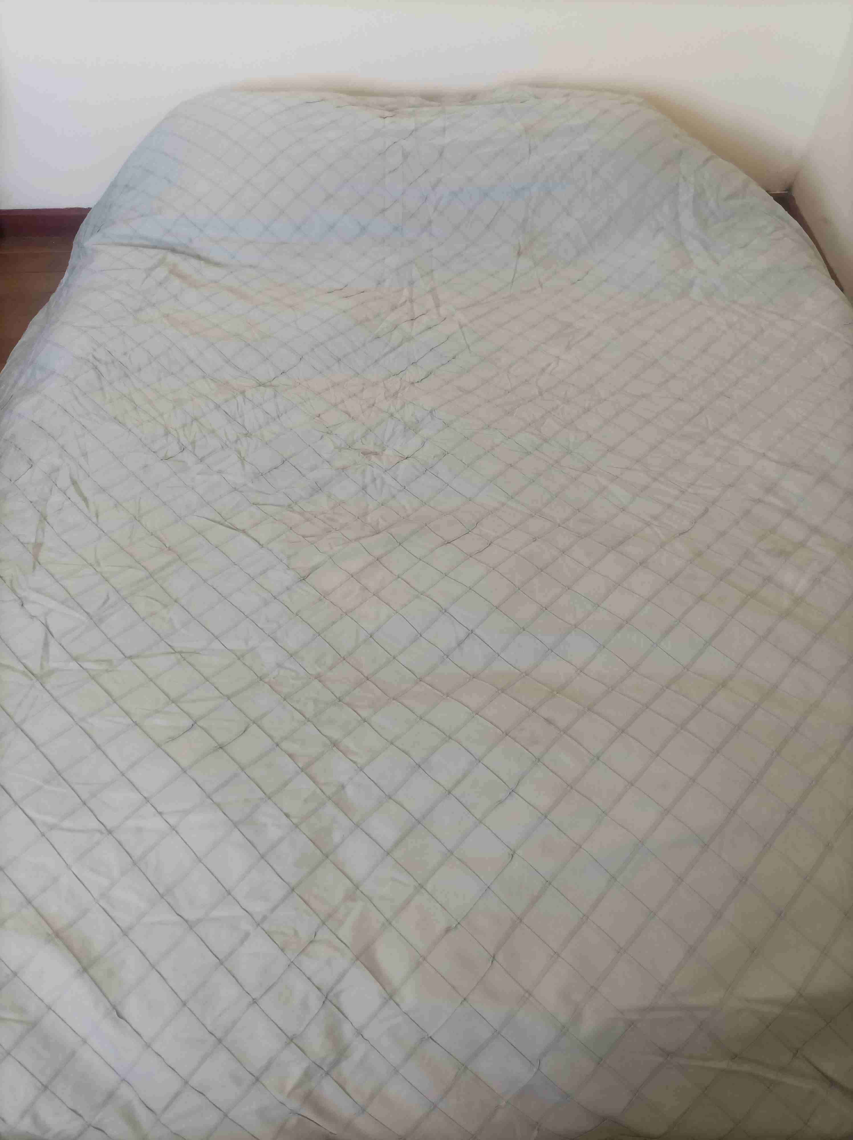 Plumón de pluma natural de 2 plazas