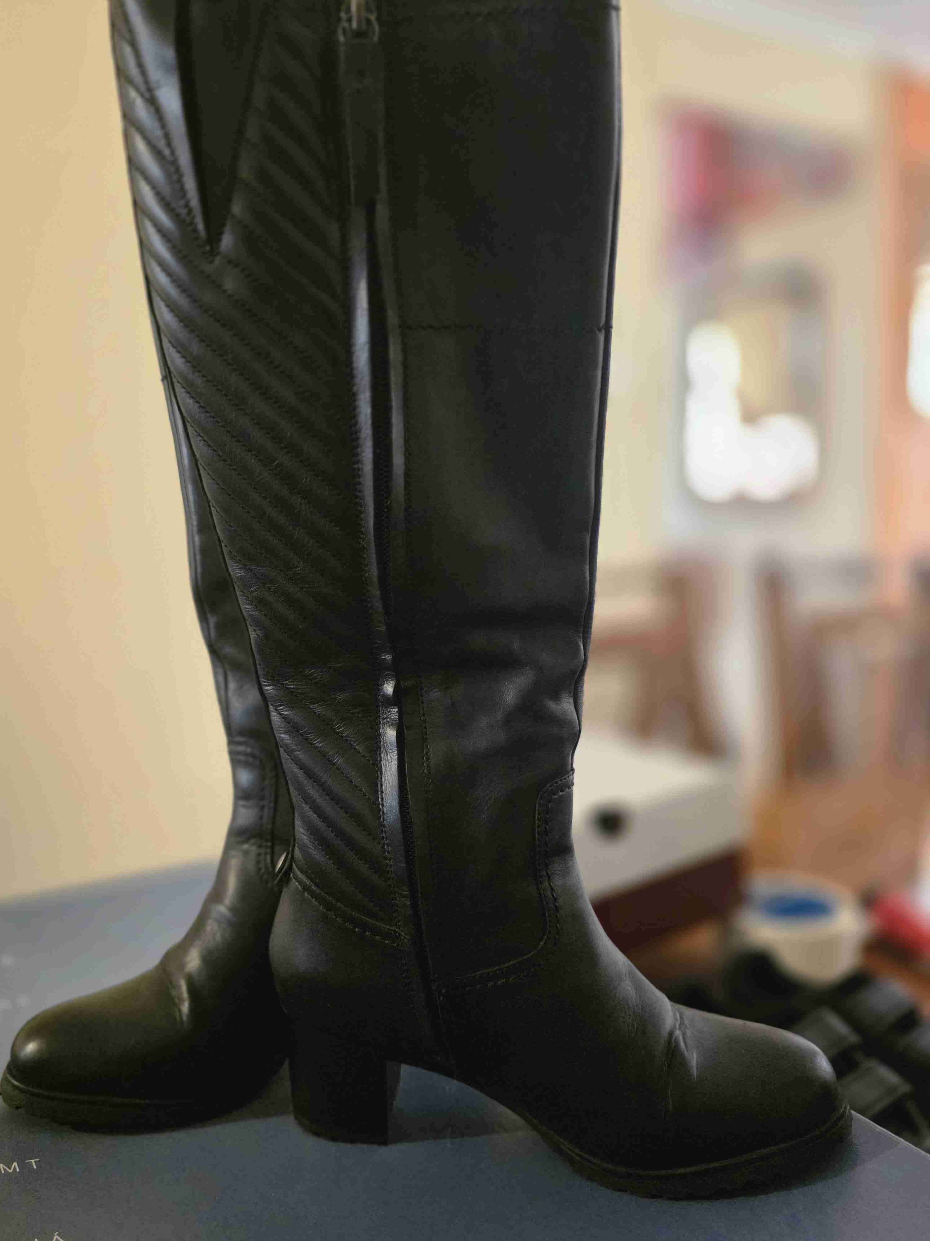 Botas cuero D Lise ABX B - 3