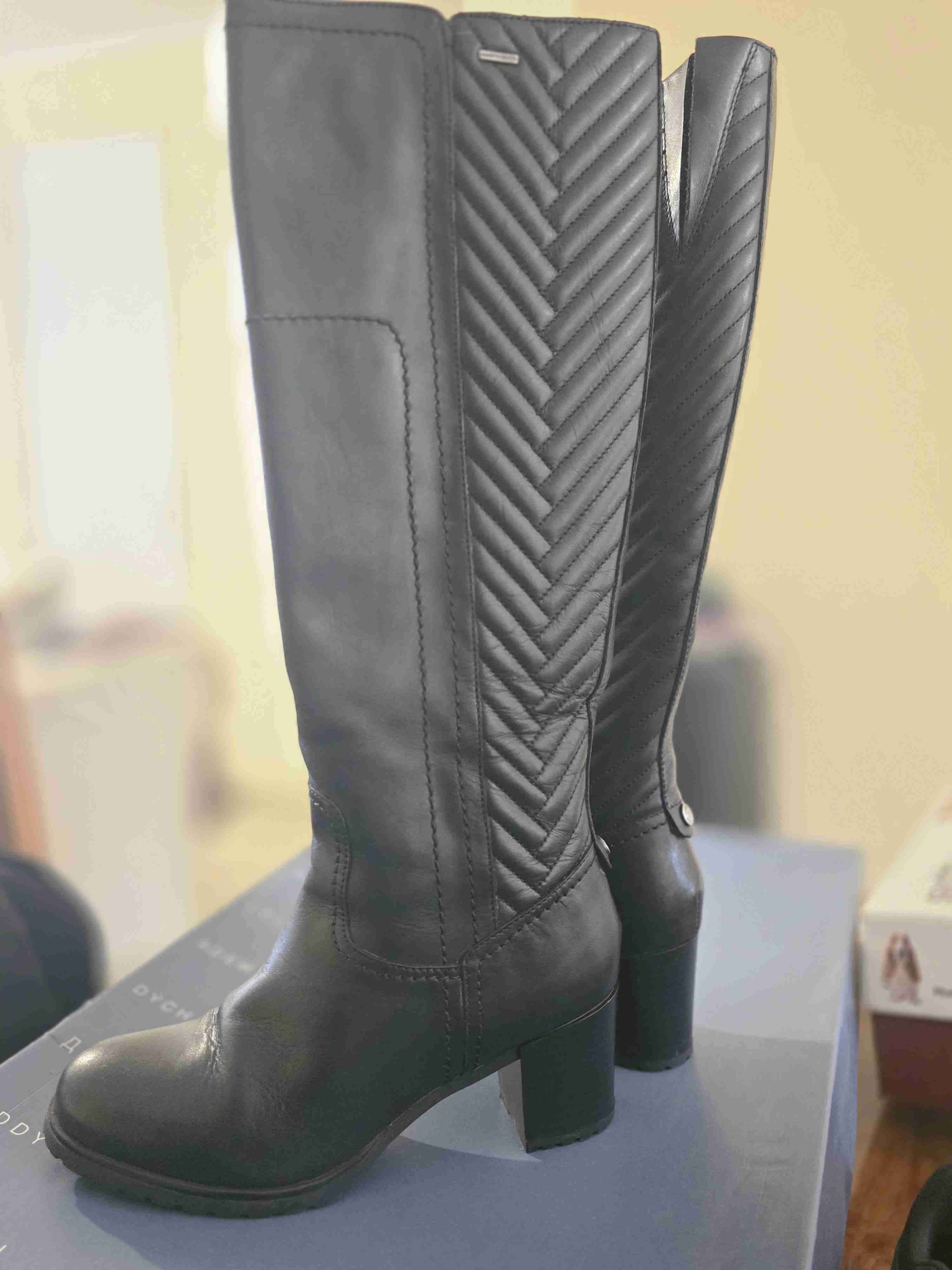 Botas cuero D Lise ABX B - 6