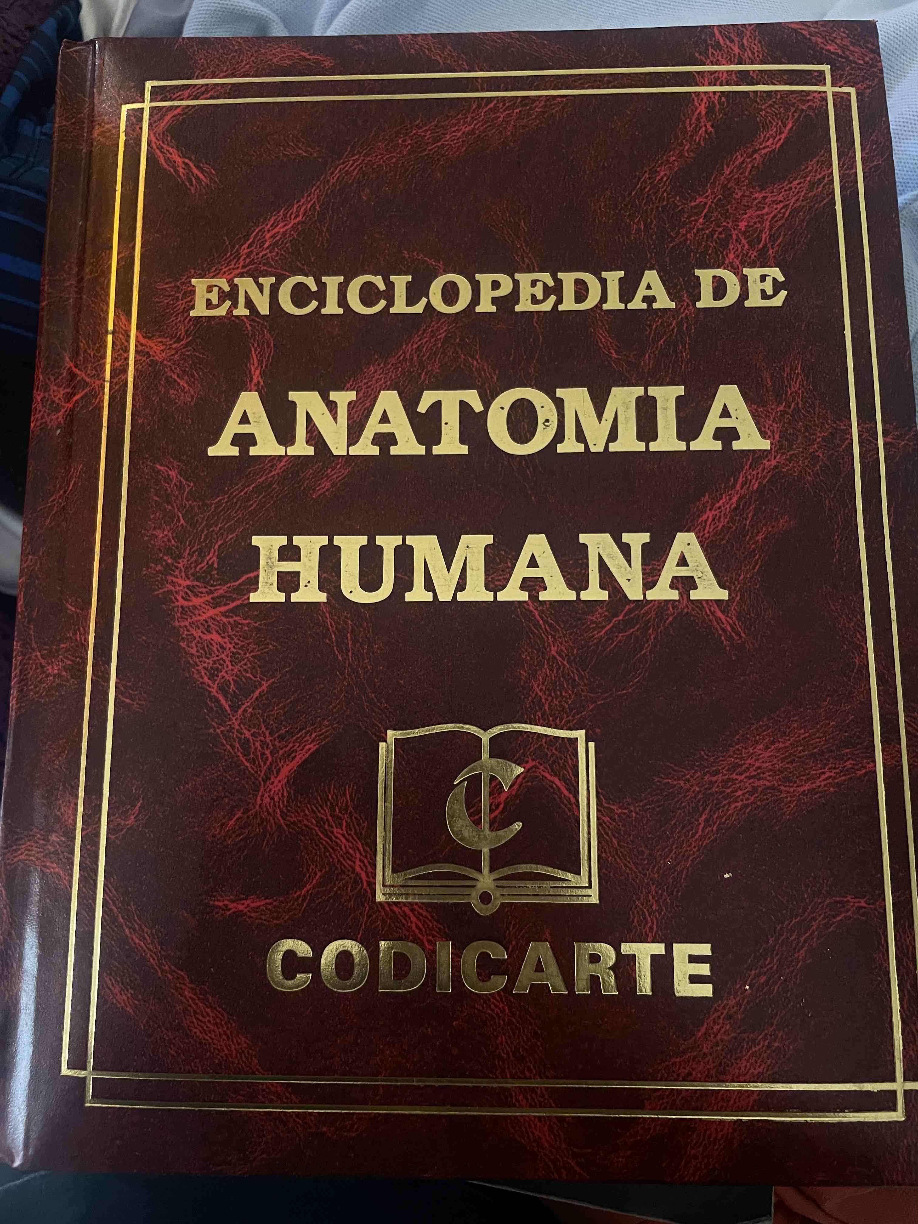 Enciclopedia de Anatomía Humana - miniatura 1