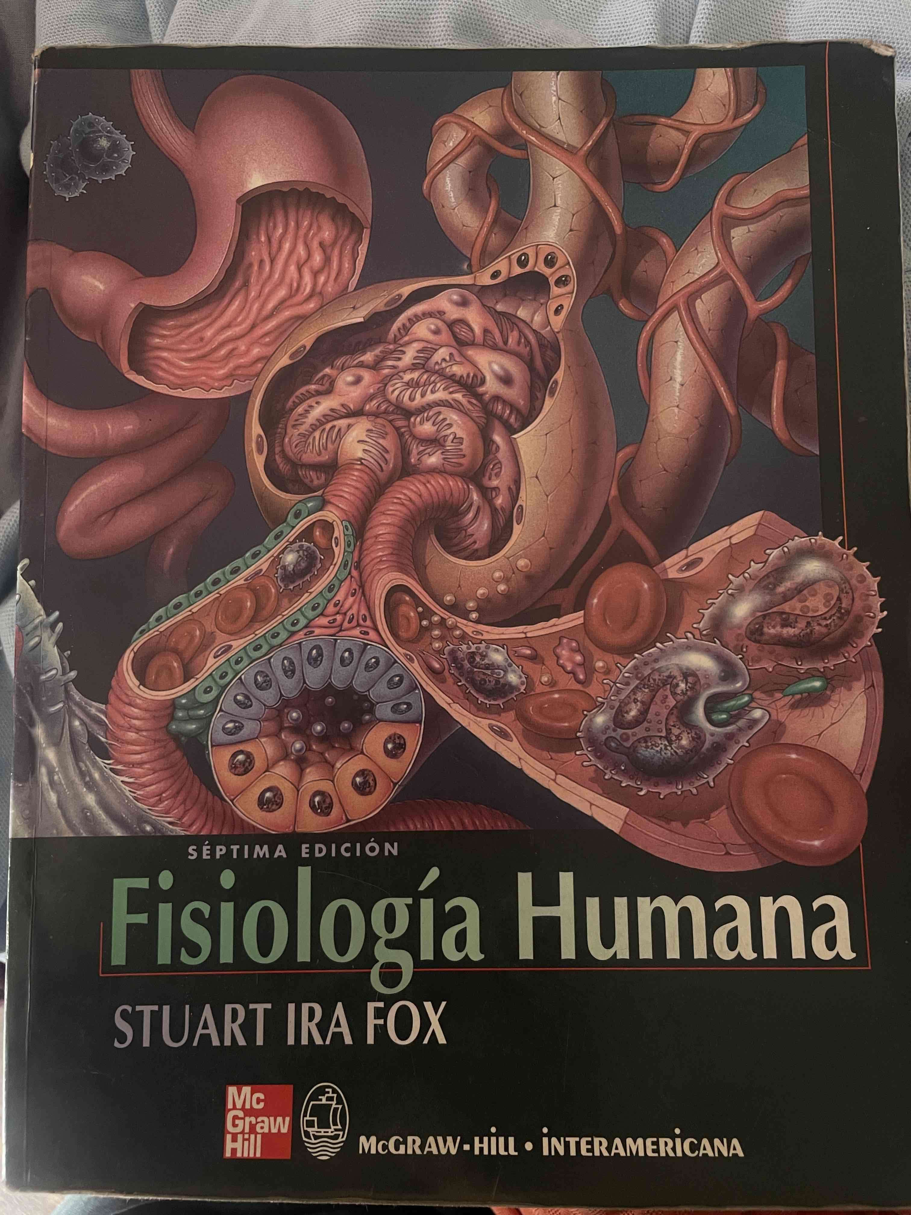 Enciclopedia de Anatomía Humana - miniatura 3